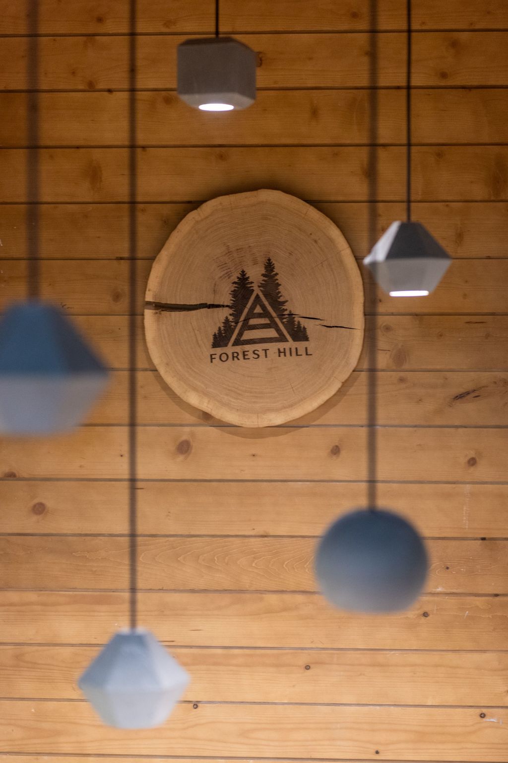 Chalet "Forest Hill" mit Hallenbad-Binnen