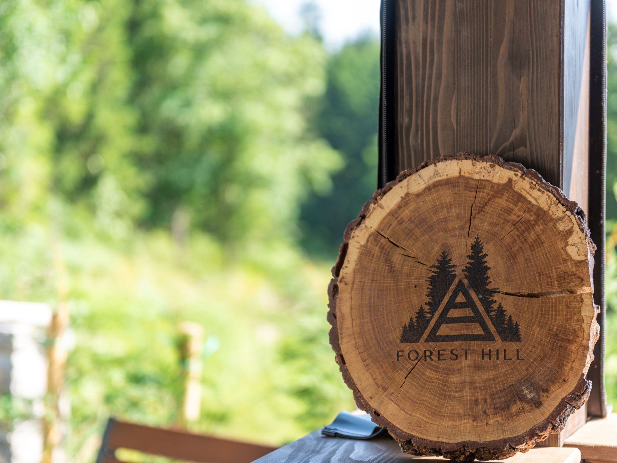 Chalet "Forest Hill" mit Hallenbad-Binnen