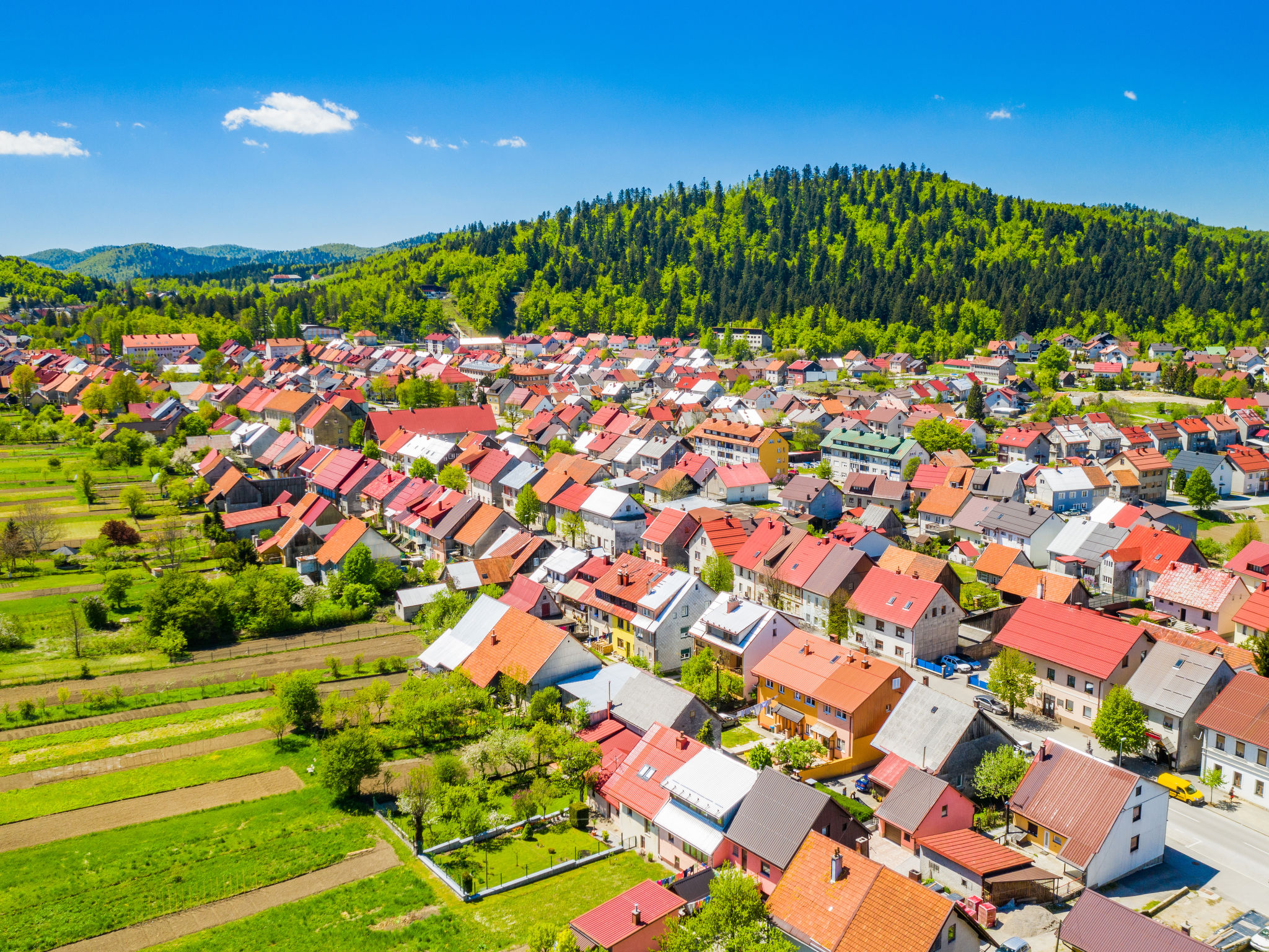 Chalet "Forest Hill" mit Hallenbad-Omgeving