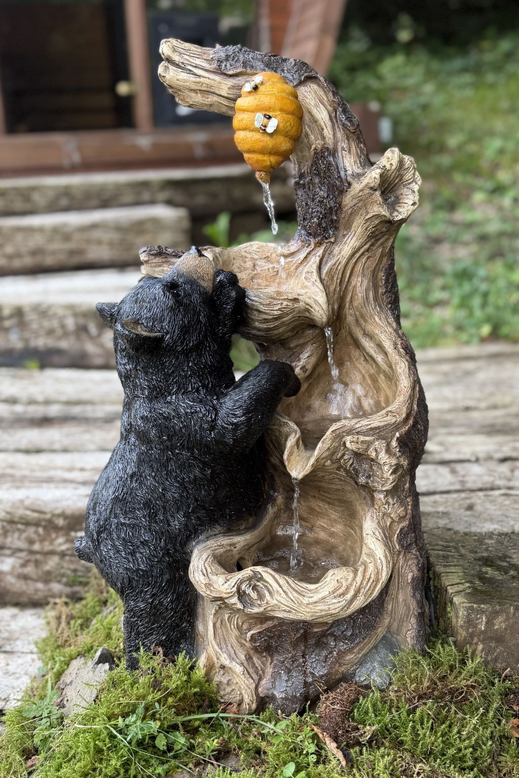 Cozy Bear Cabin - Outside