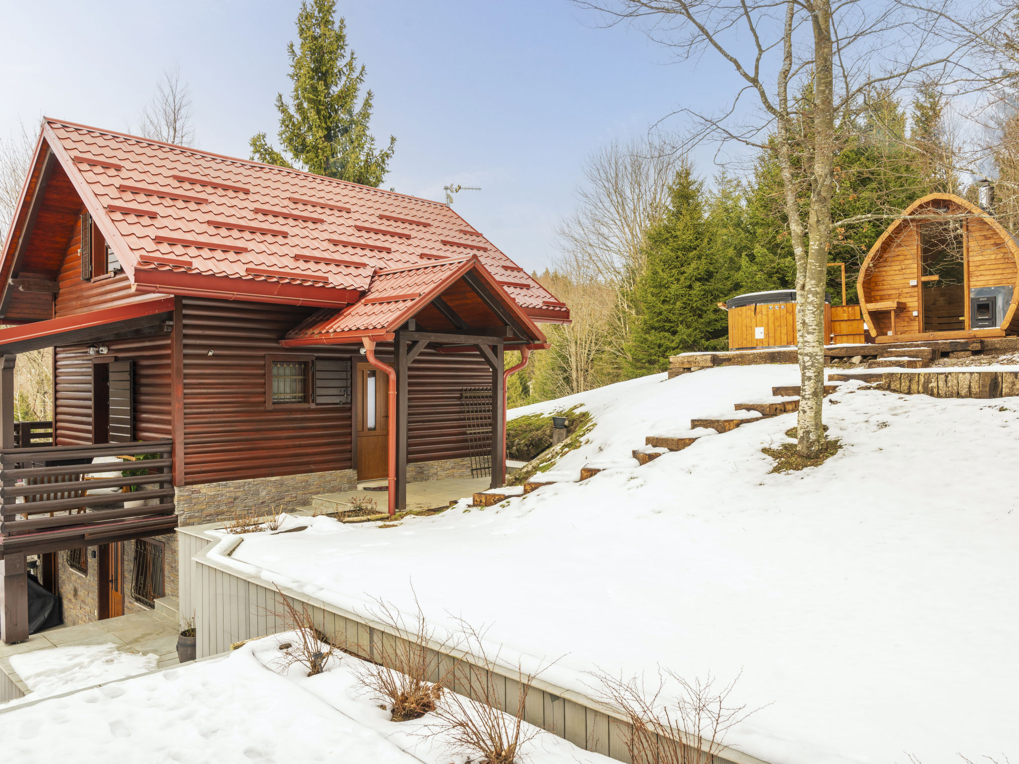 Cozy Bear Cabin - Outside
