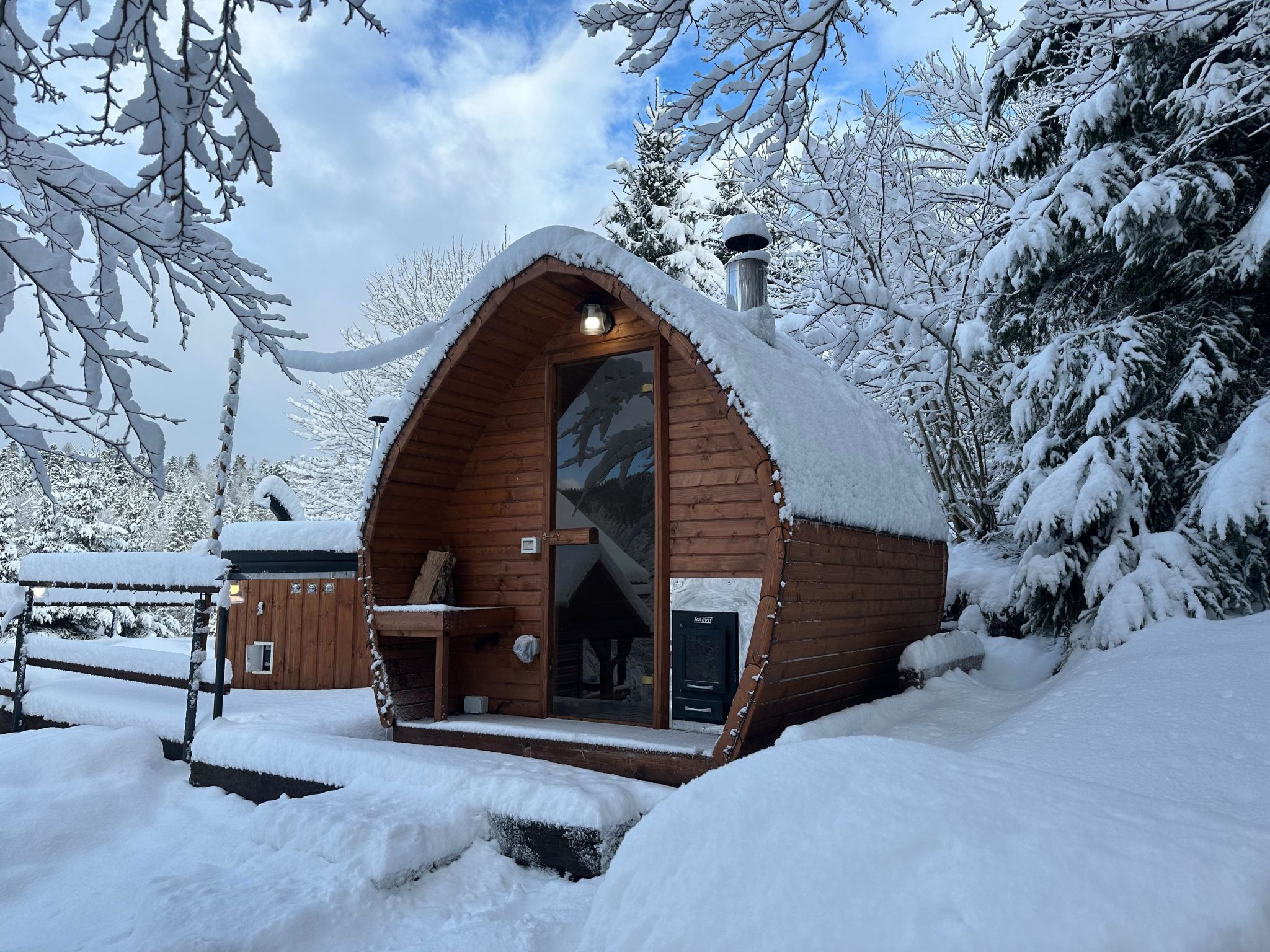 Cozy Bear Cabin - Outside