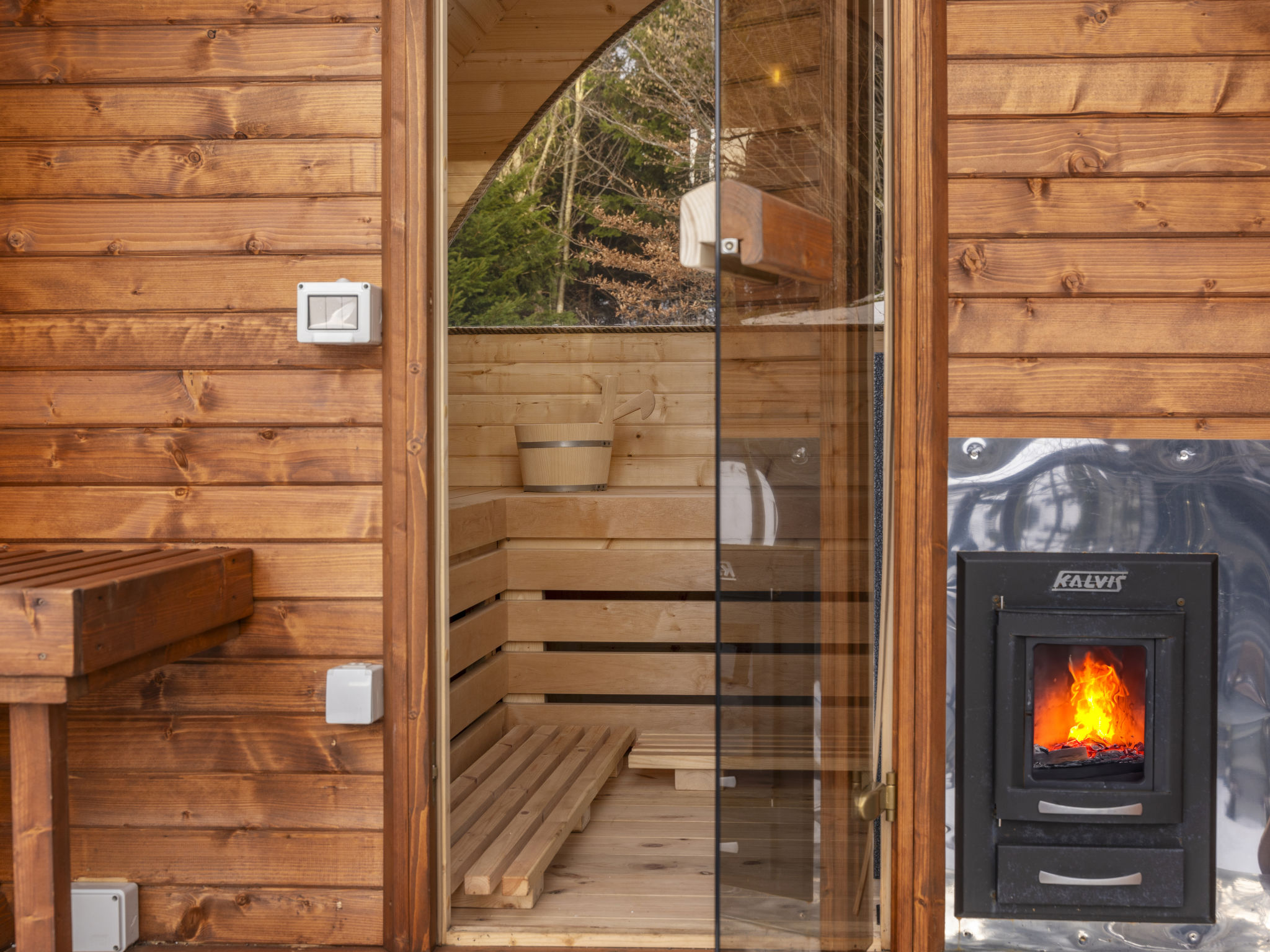 Cozy Bear Cabin - Outside