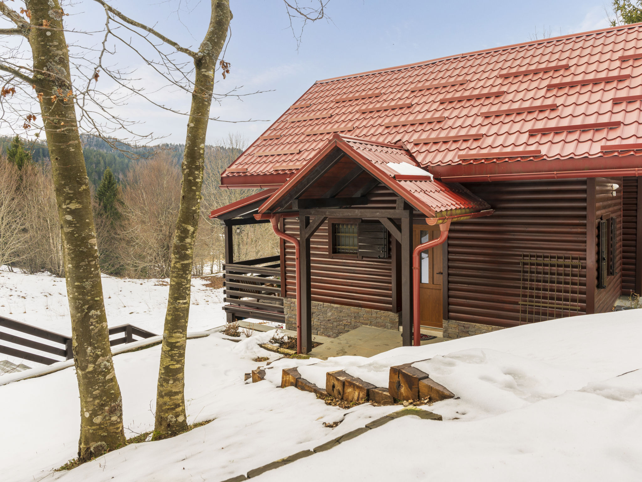 Cozy Bear Cabin - Outside