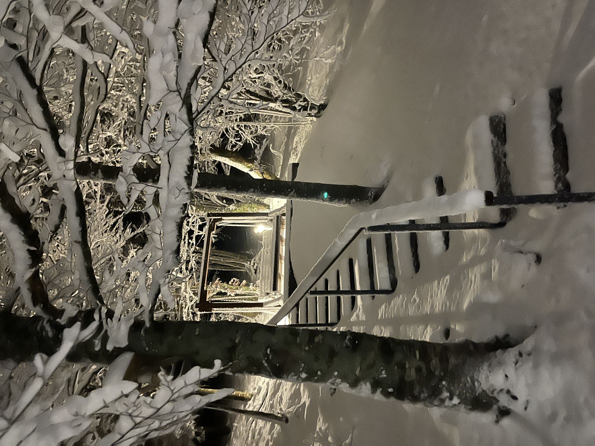Cozy Bear Cabin - Outside