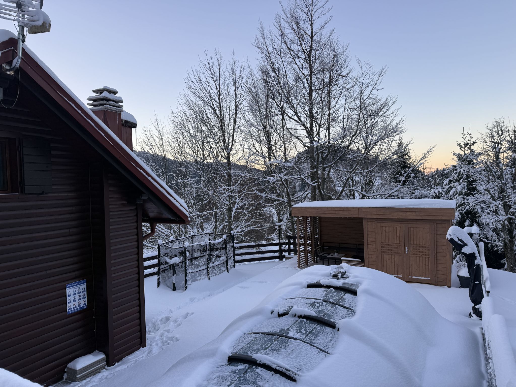 Cozy Bear Cabin - Outside
