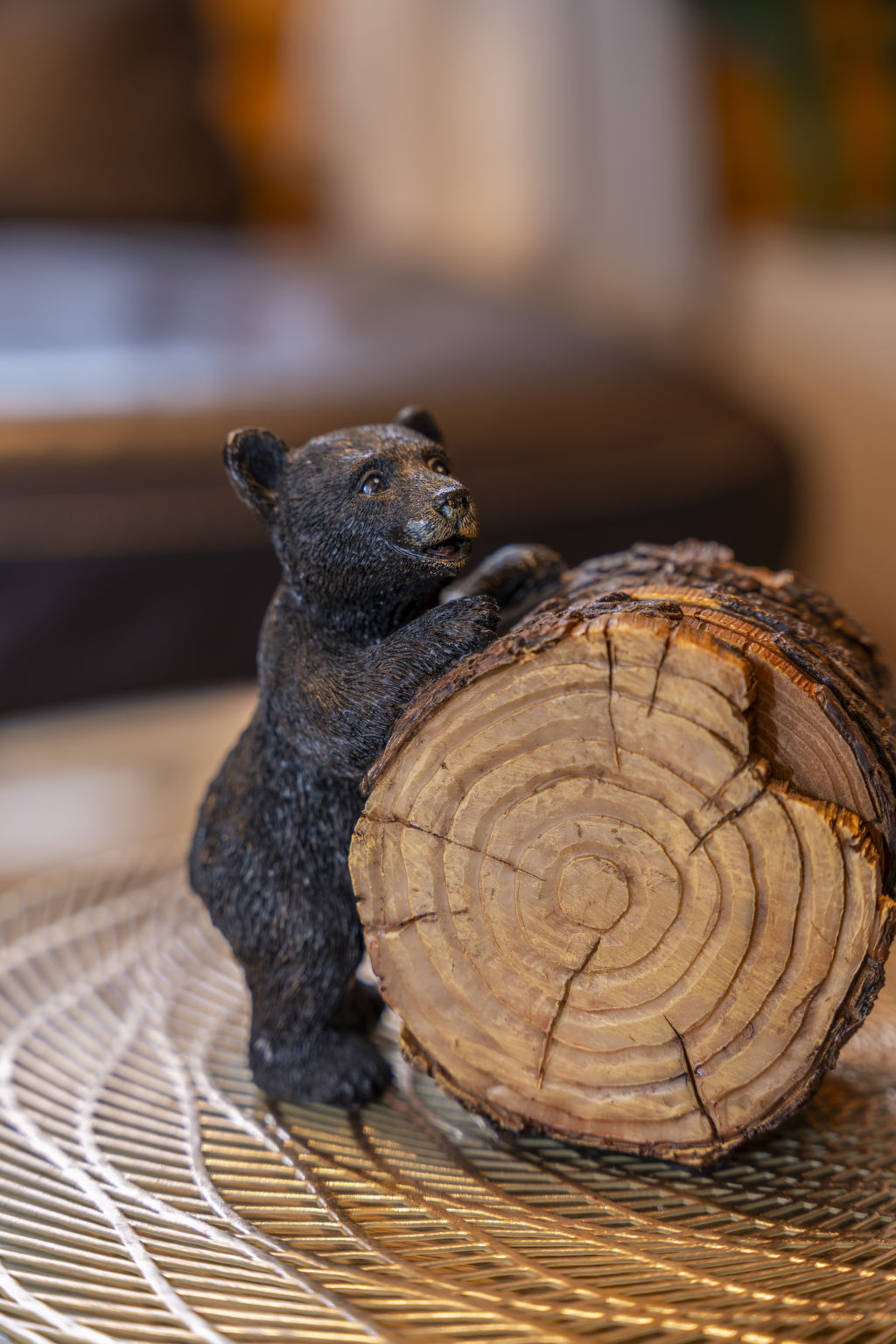 Cozy Bear Cabin - Outside