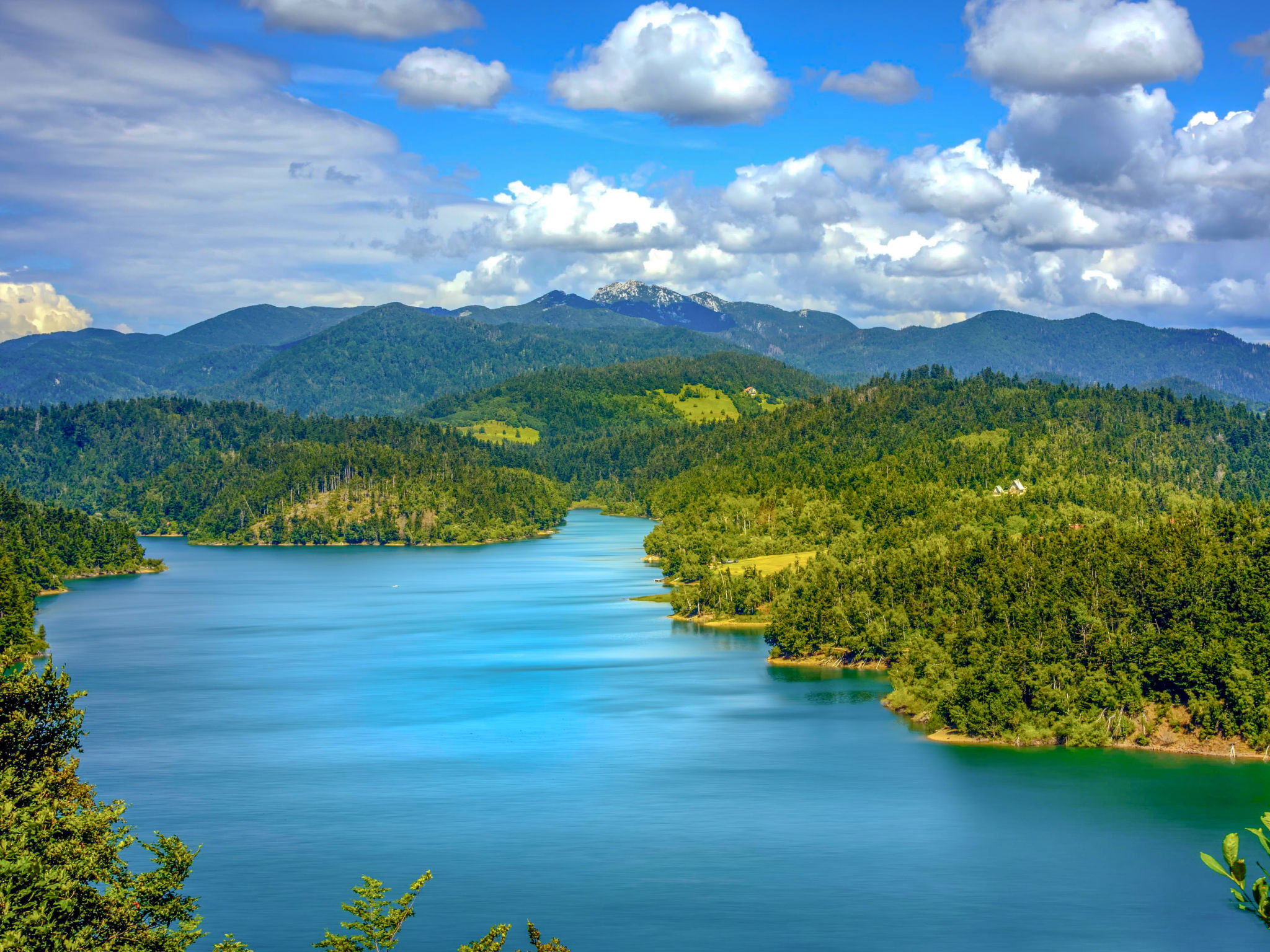 Cozy Bear Cabin - Area