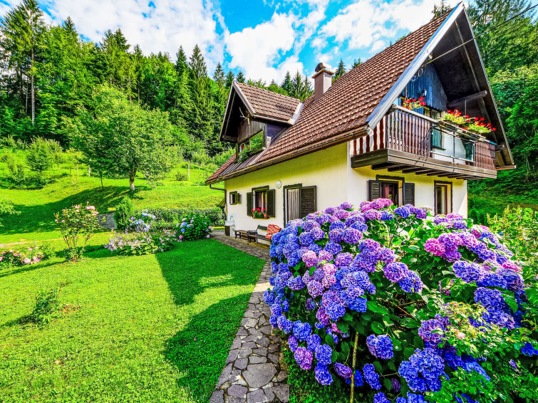 Search and Stay destination Golik, Primorsko-goranska županija - Croatia from AU$ 275. Božica
