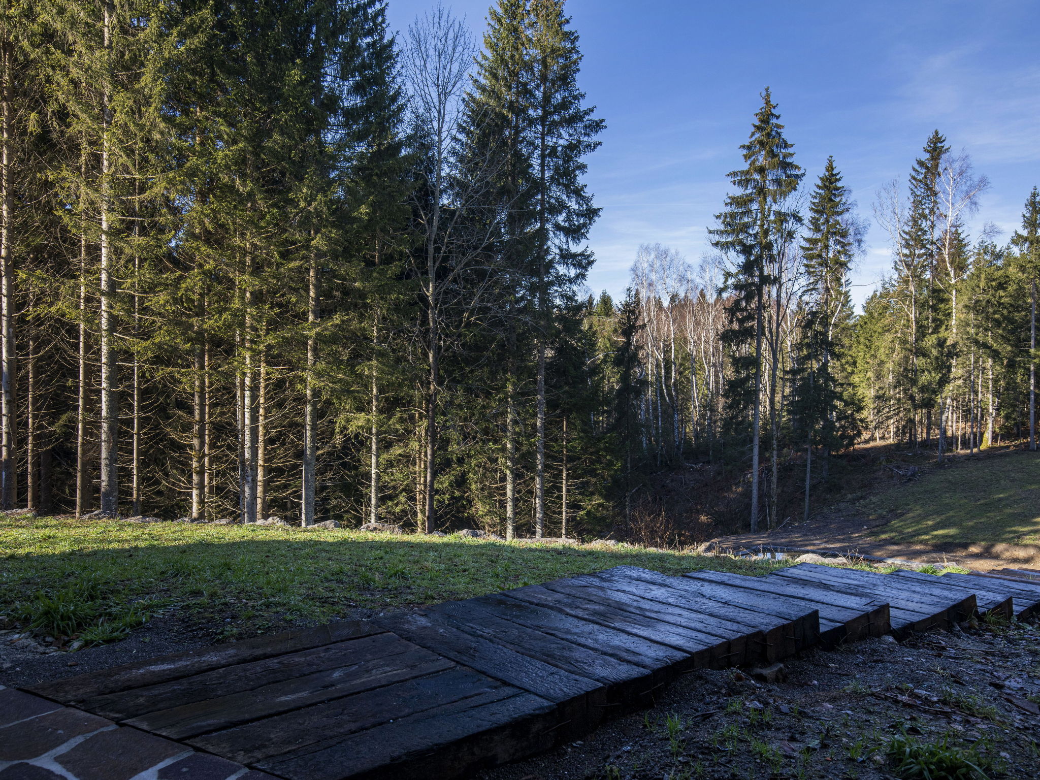 Valera Vita Forest - Outside