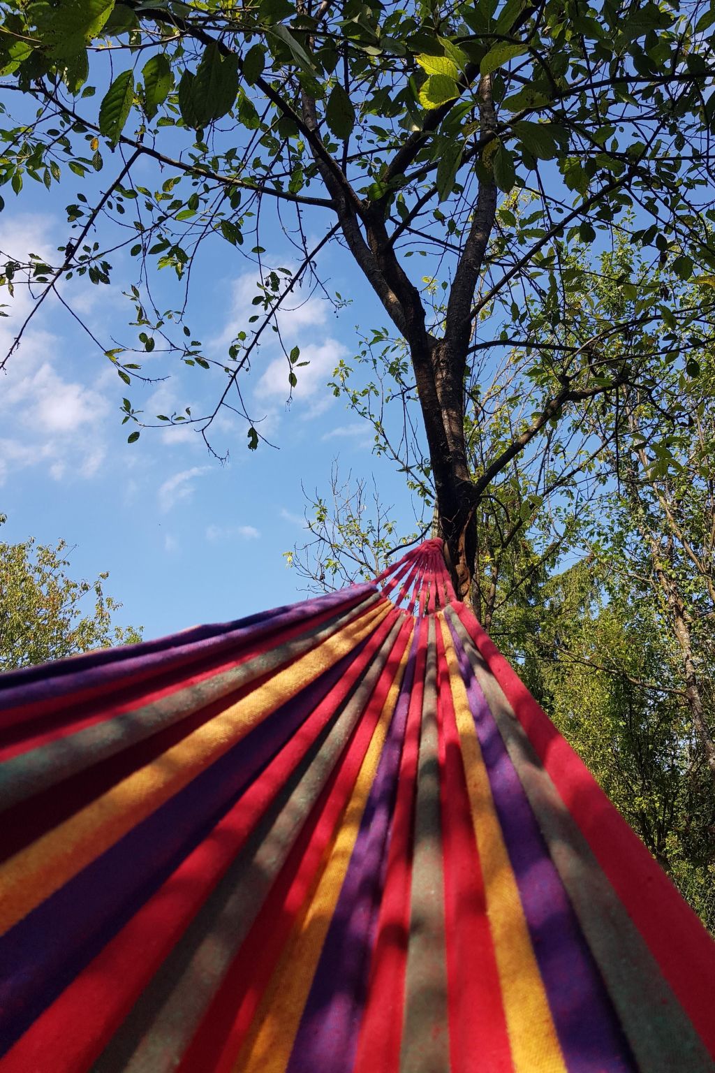 Für 4 Personen ca. 65 m&sup2; in Brod Moravice, Gespanschaft Primorje-Gorski (G-Image-tags.info