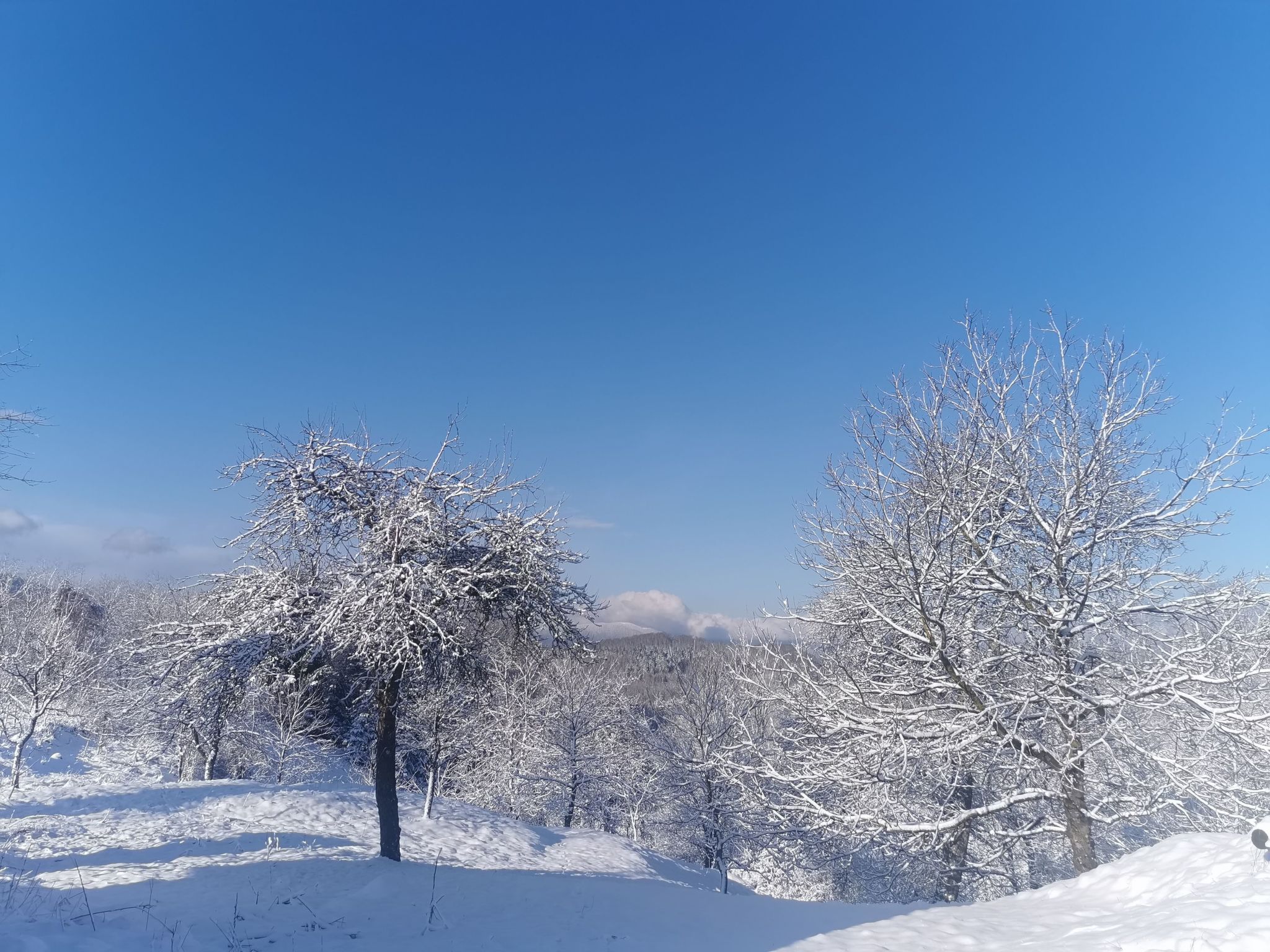 Für 4 Personen ca. 65 m&sup2; in Brod Moravice, Gespanschaft Primorje-Gorski (G-Image-tags.info