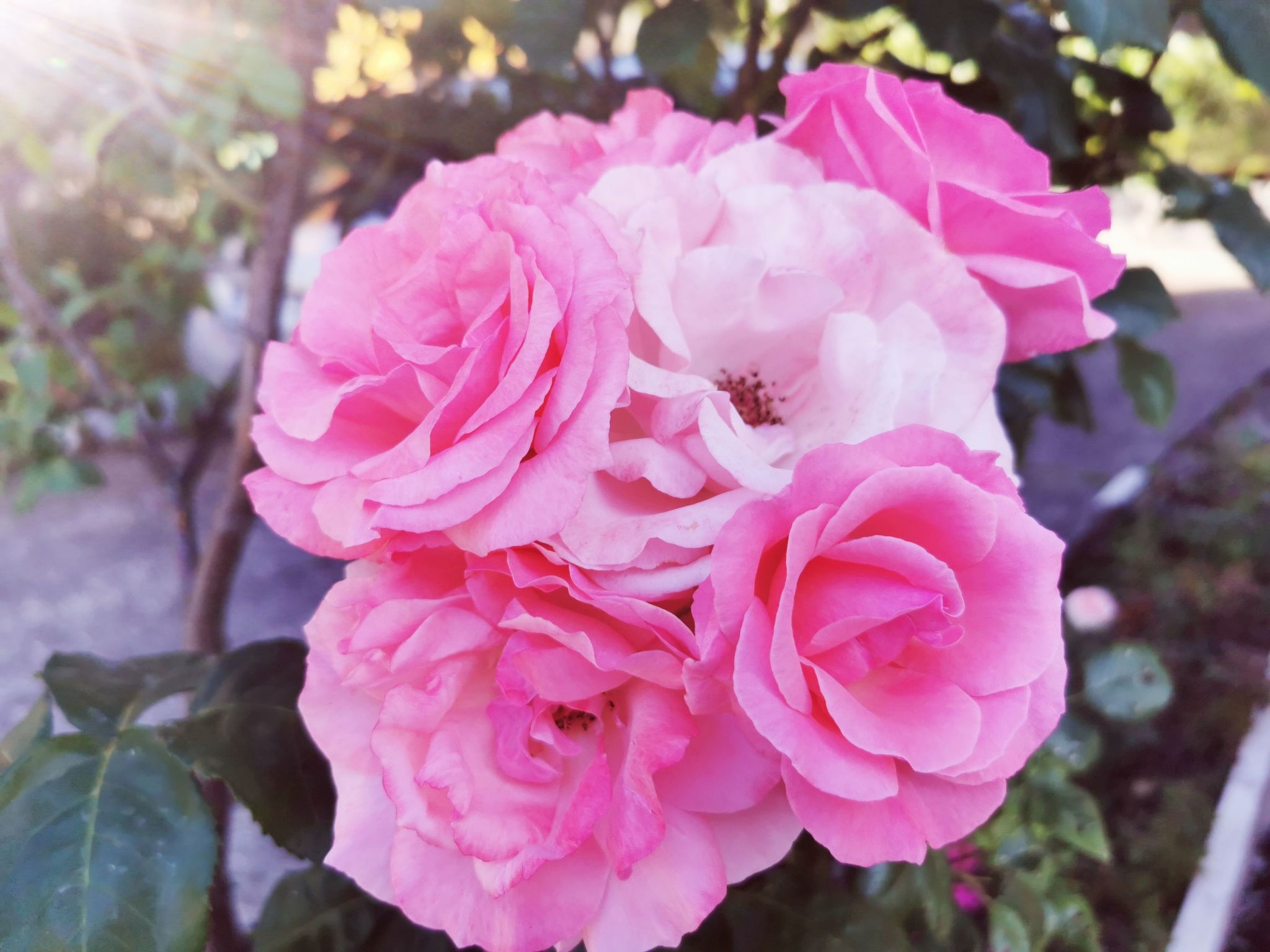 Für 4 Personen ca. 65 m&sup2; in Brod Moravice, Gespanschaft Primorje-Gorski (G-Image-tags.info