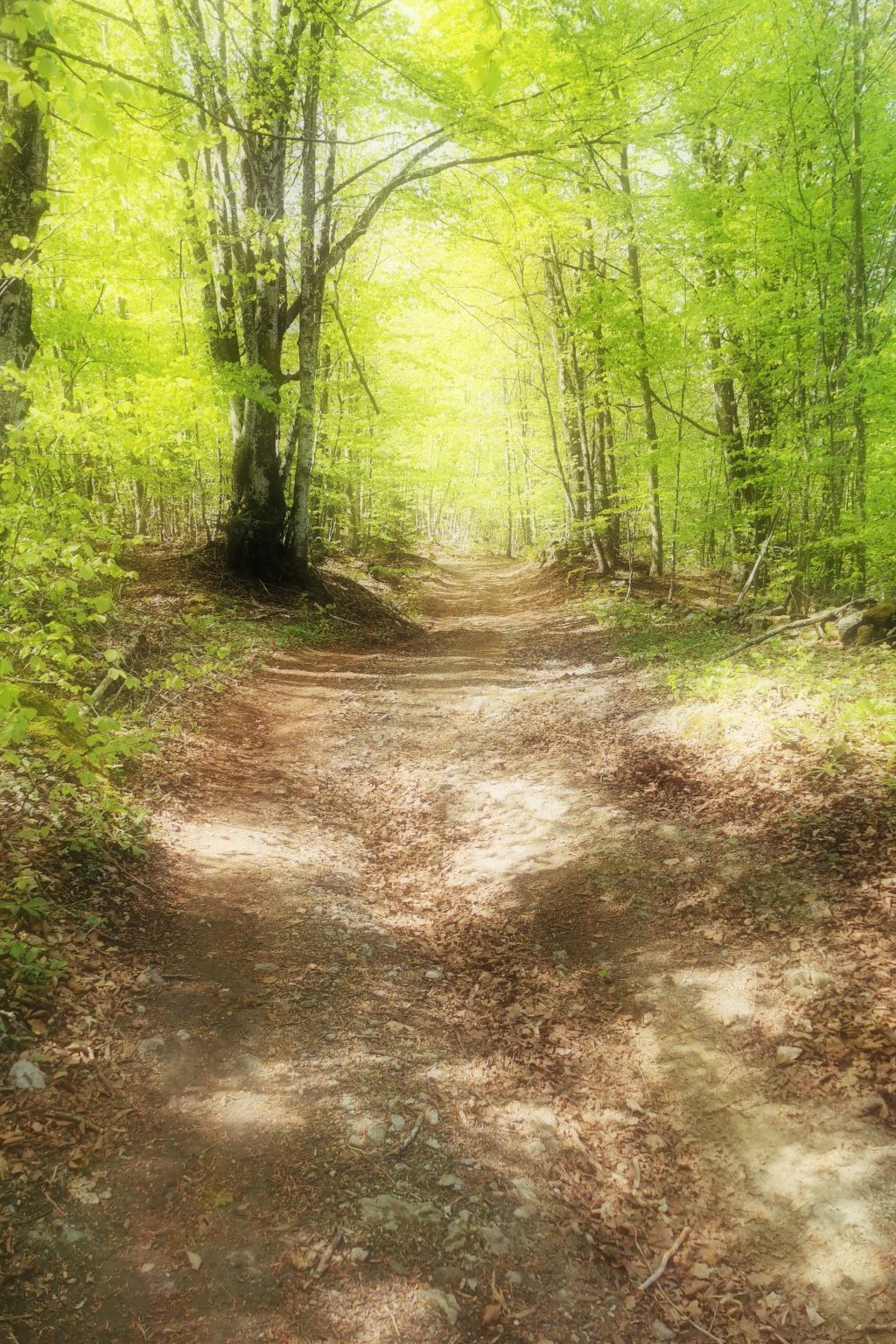 Für 4 Personen ca. 65 m&sup2; in Brod Moravice, Gespanschaft Primorje-Gorski (G-Image-tags.info