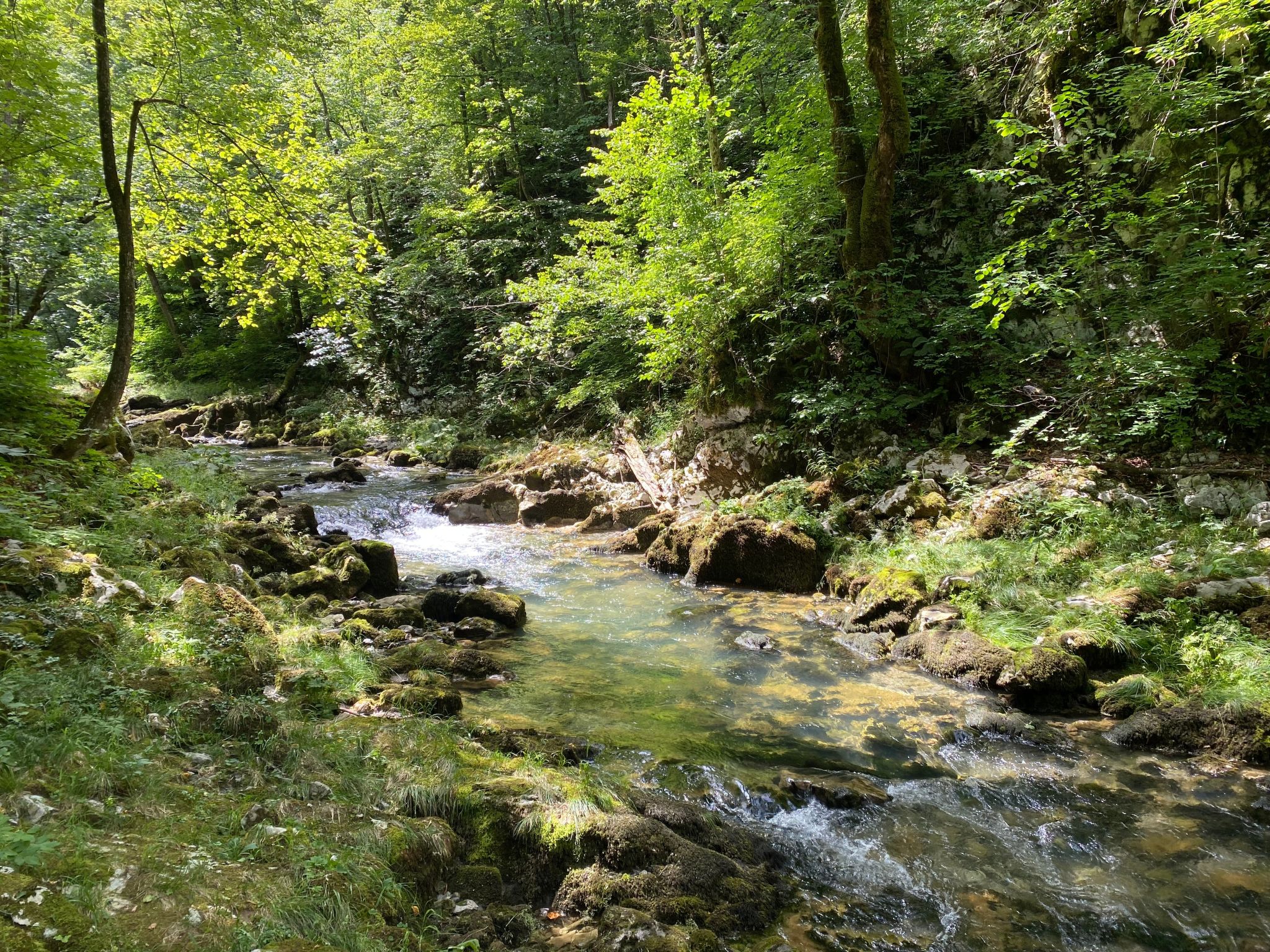 Hariata-Umgebung