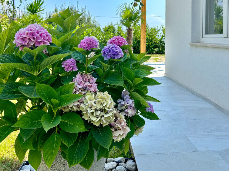 Villa Palma Apartment in Lovran