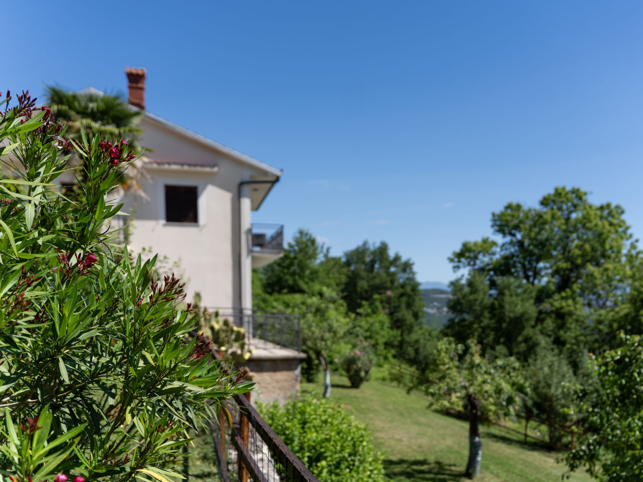 Photo of Orbani