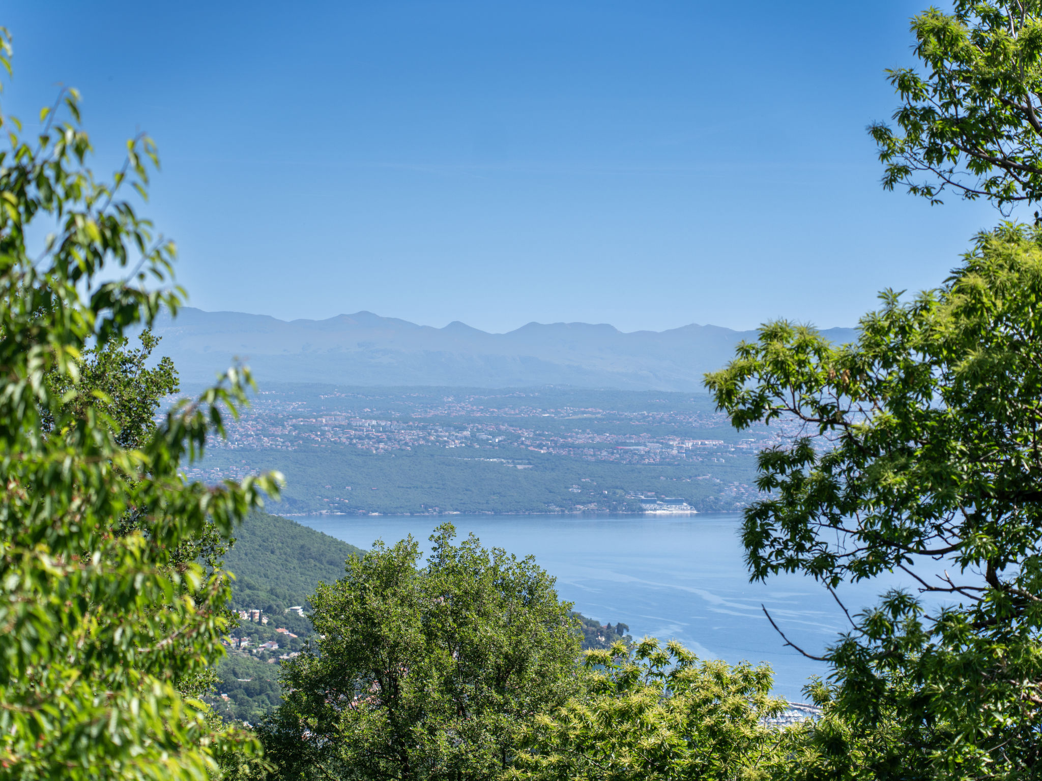 Photo of Orbani