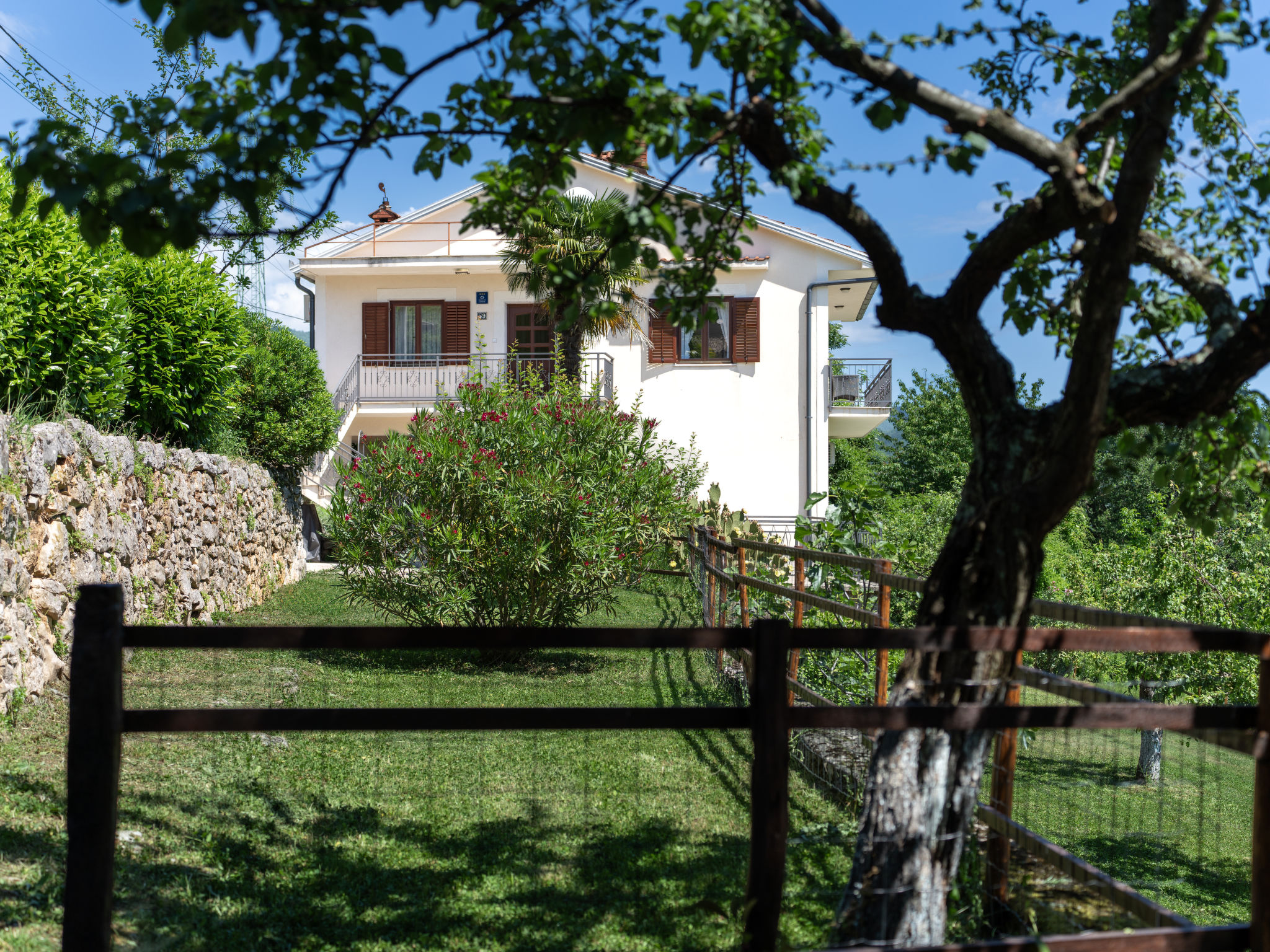 Photo of Orbani