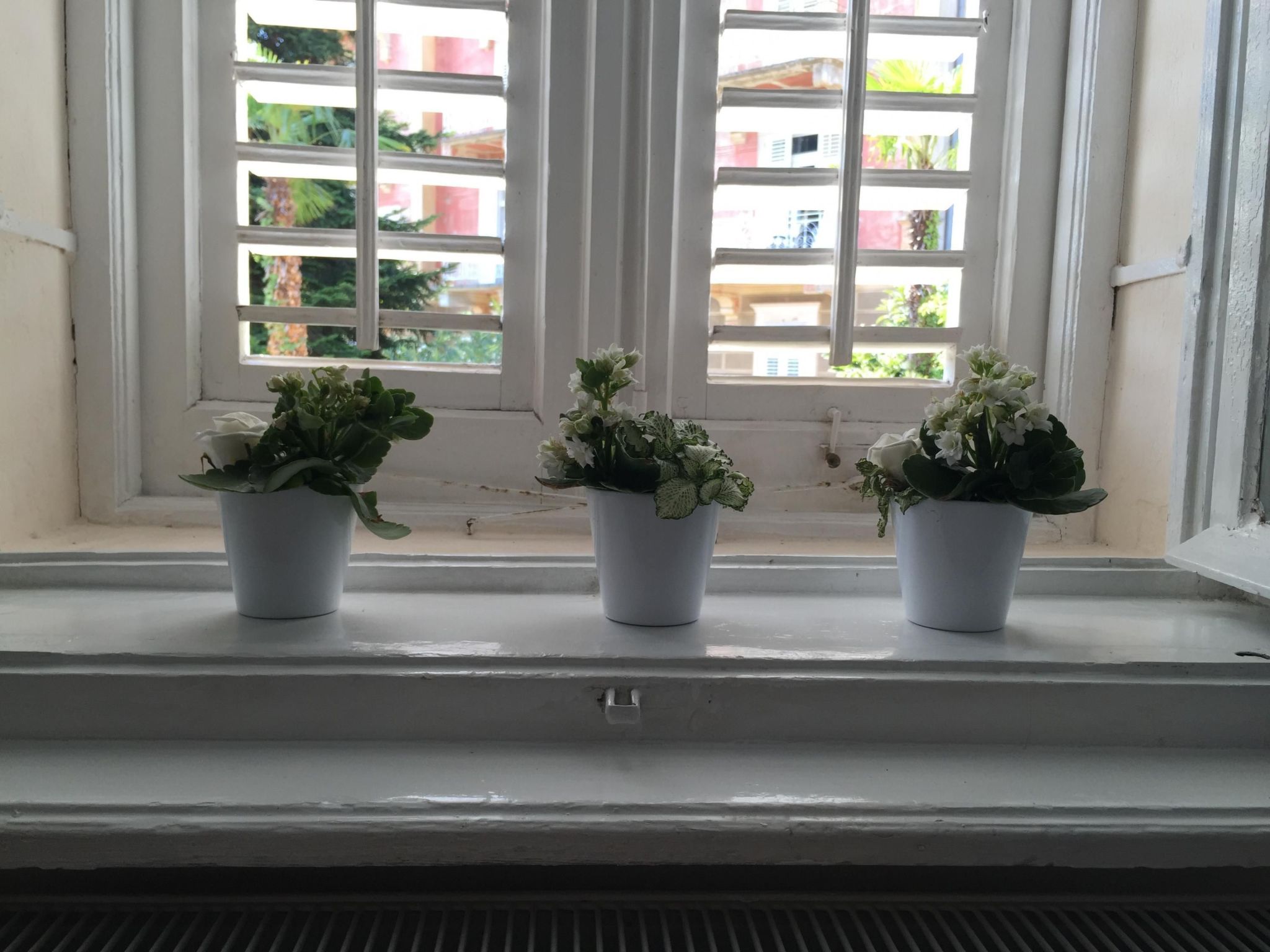 "Villa Peppina"-Image-tags.info