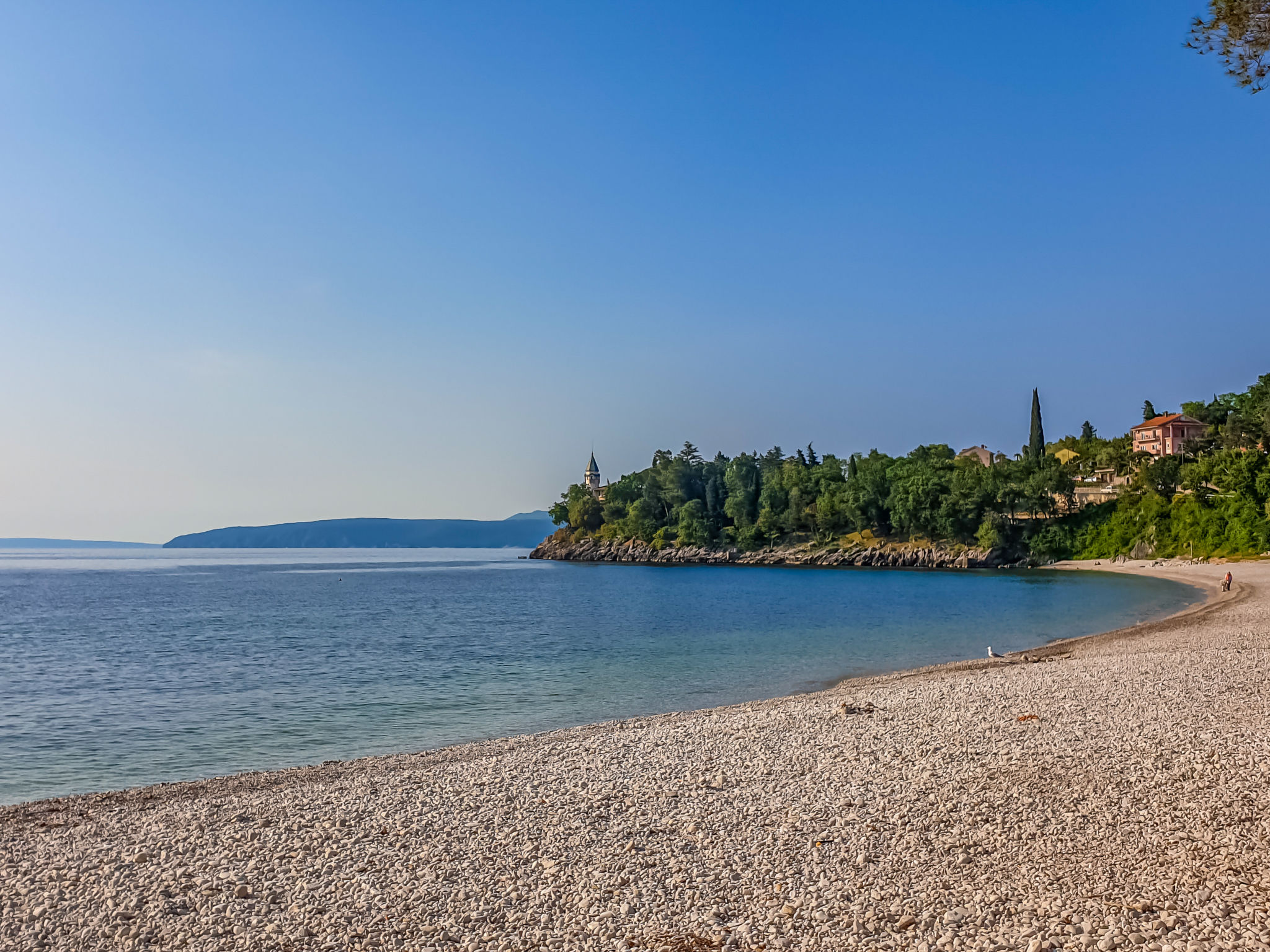 Marmonte-Environnement