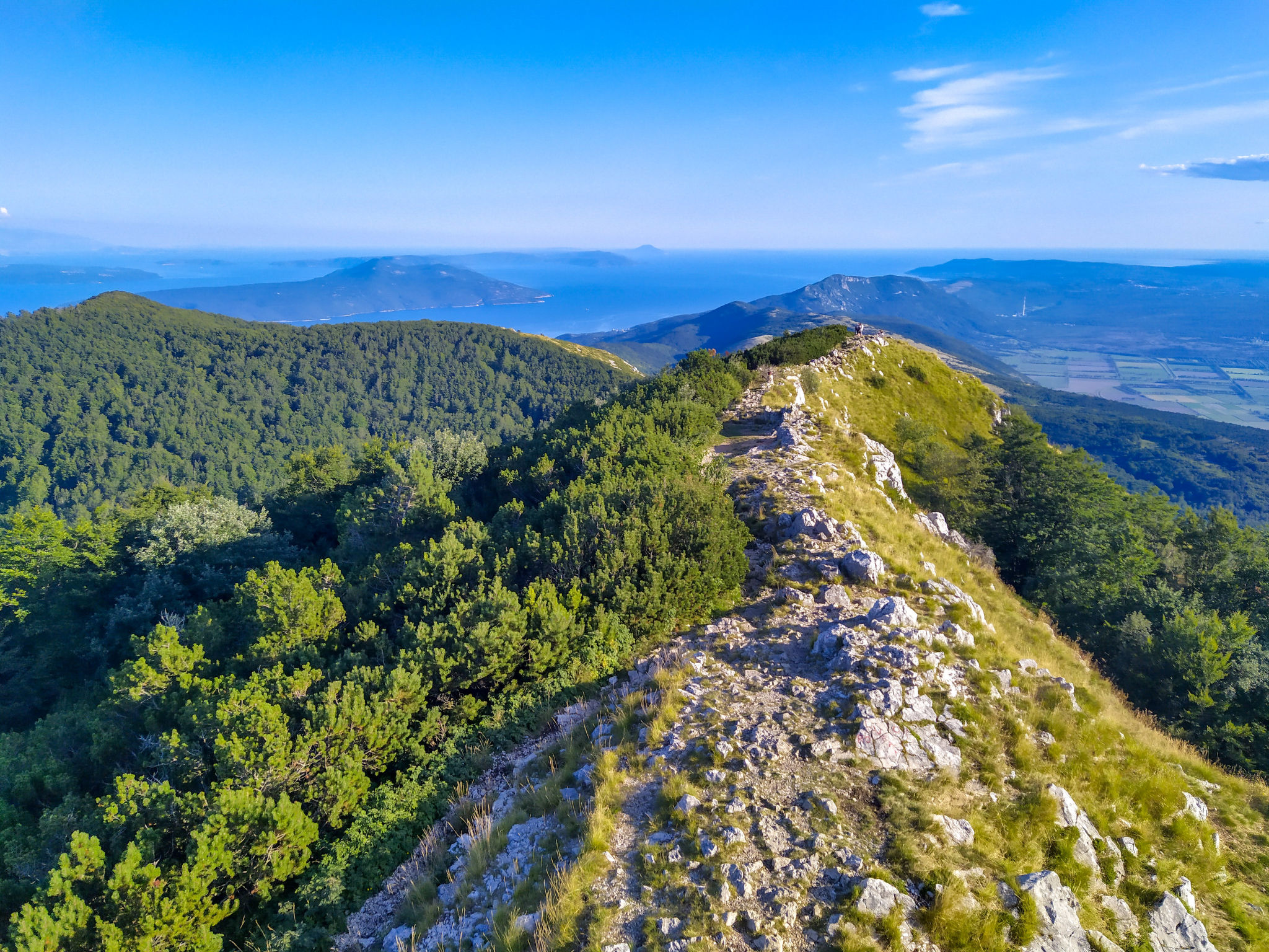 Marmonte-Environnement