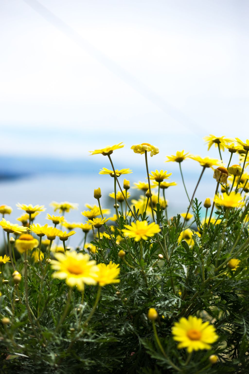 Mit Wasserblick-Binnen