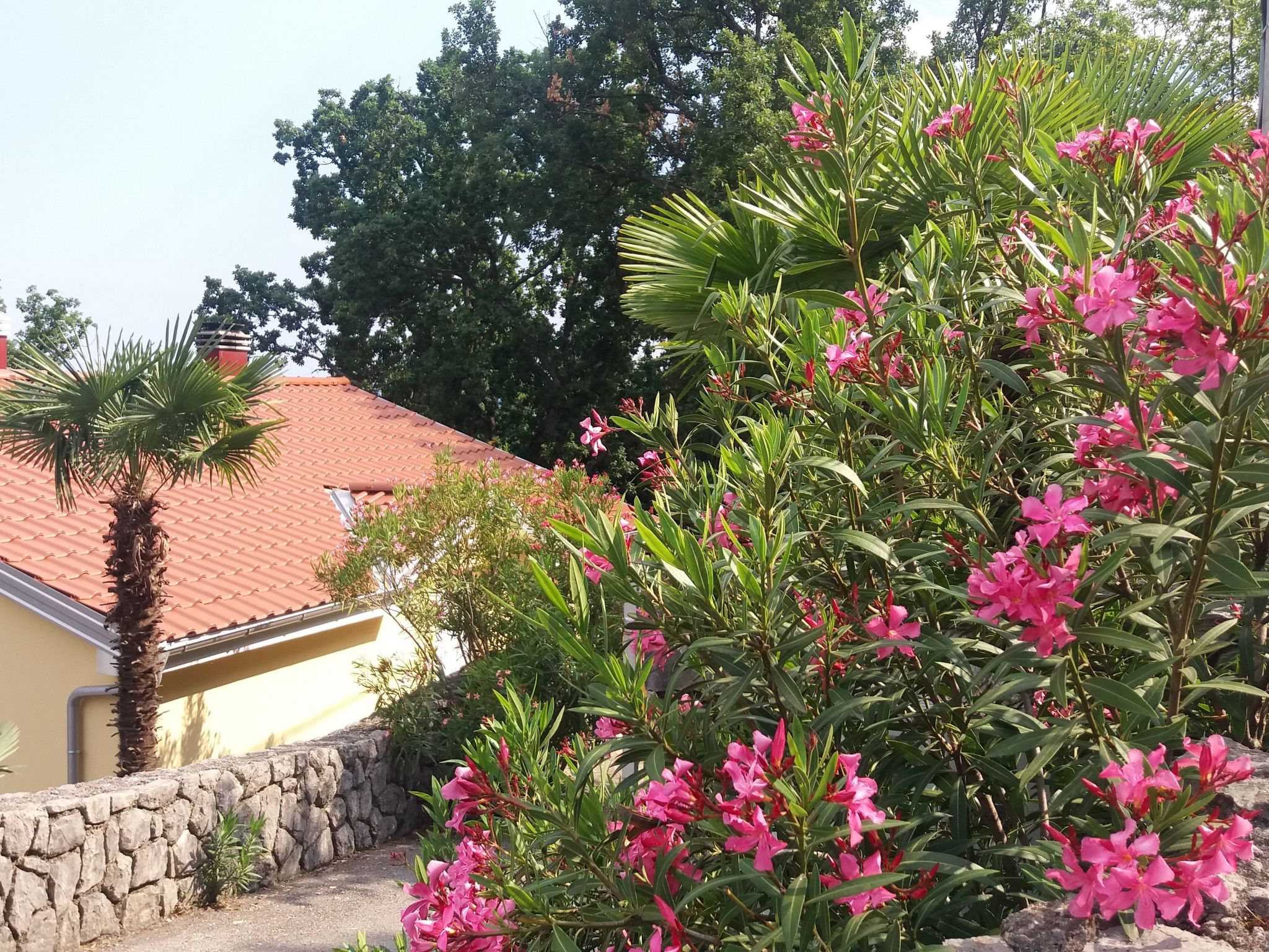 Wohnung "Oleandri1" mit Blick auf das Wasser