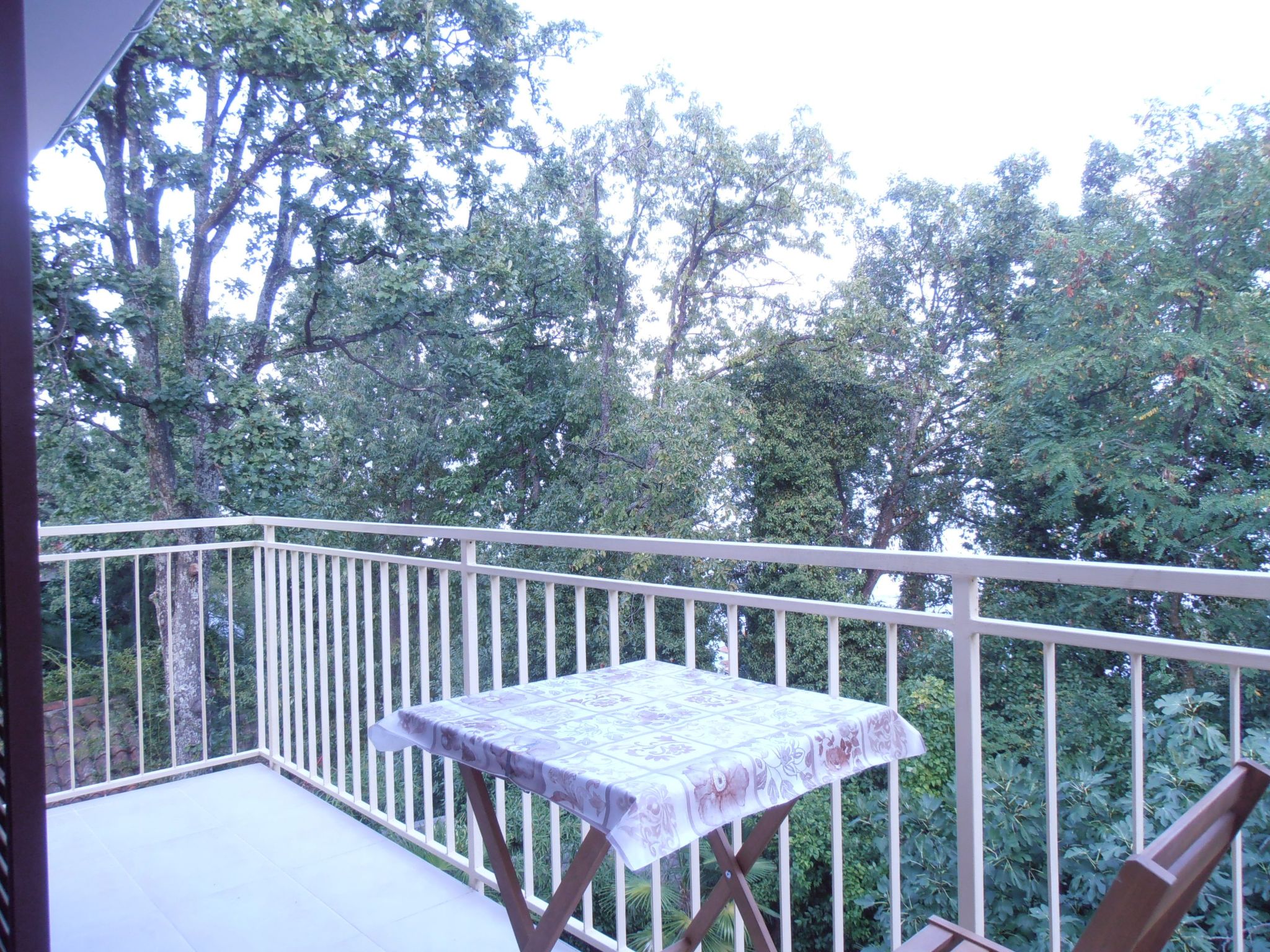 Wohnung "Oleandri1" mit Blick auf das Wasser-Image-tags.info