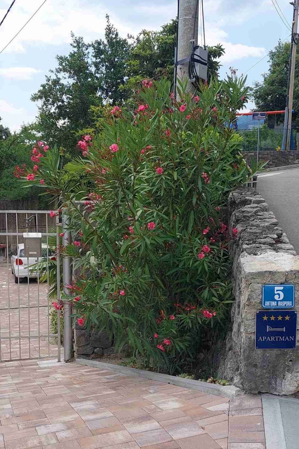 Wohnung "Oleandri1" mit Blick auf das Wasser-Image-tags.info