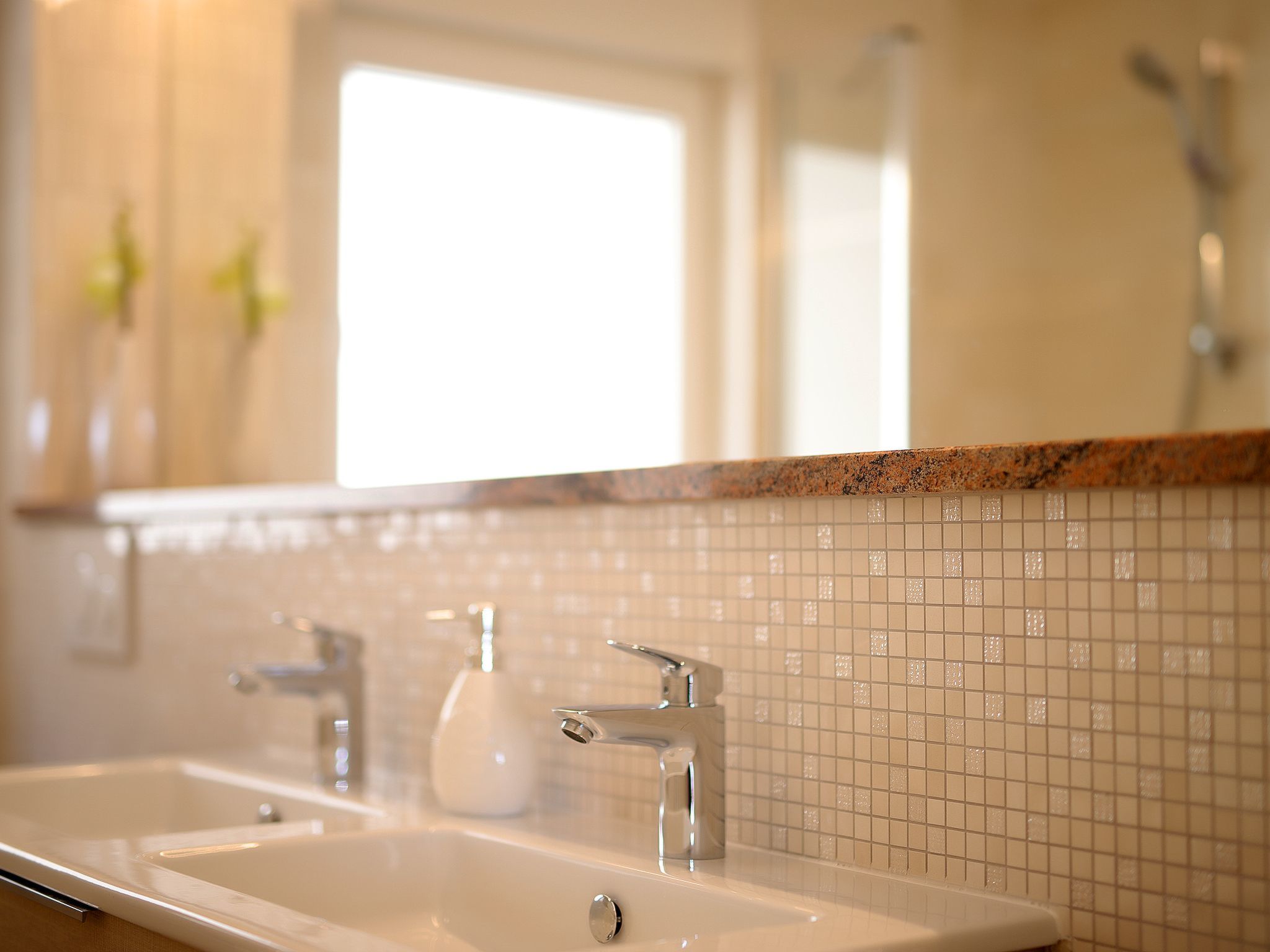 Camelia-Image-tags.info