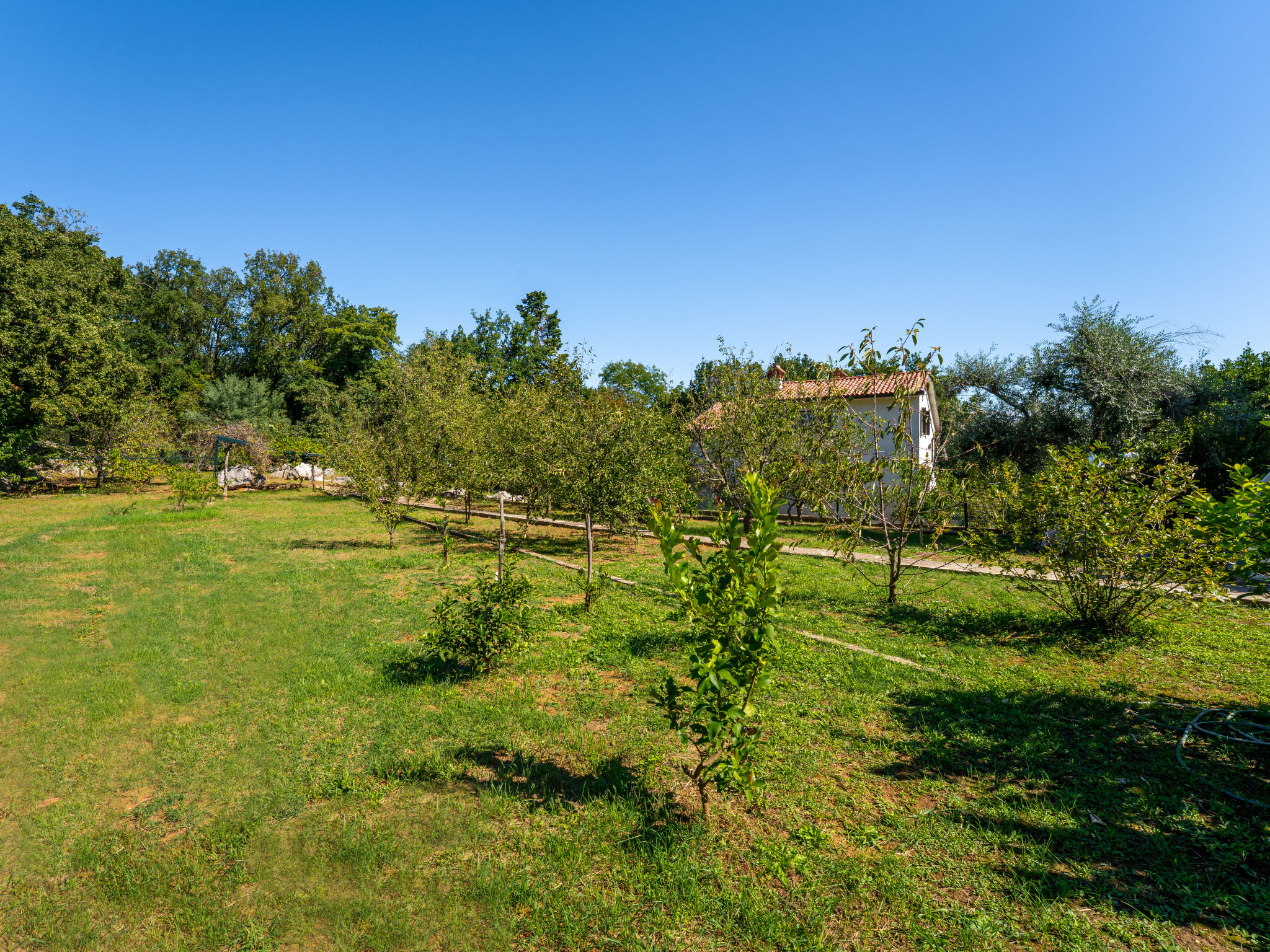Bungalow Franjo – Extérieur, photo 6 sur 28