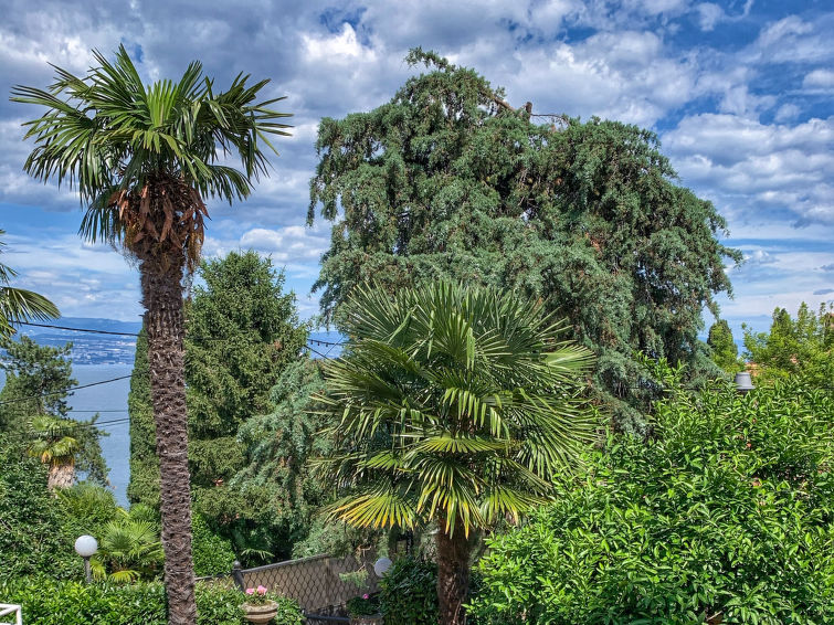 Photo of Villa Nika