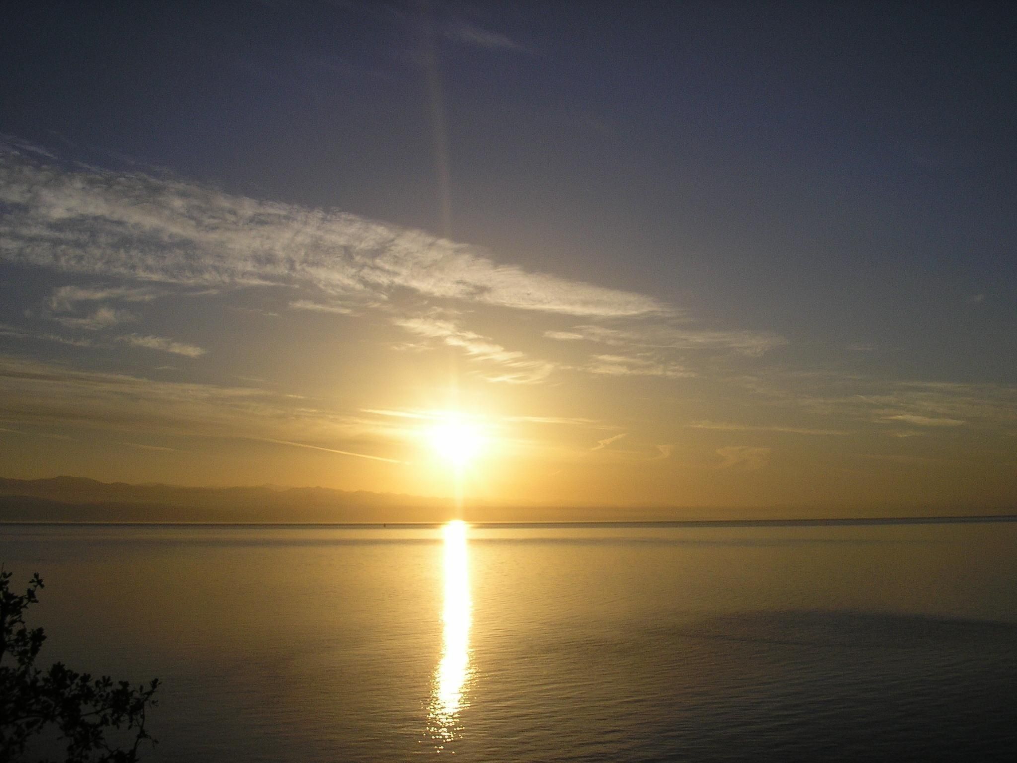 Mit Balkon und Terrasse-Inside