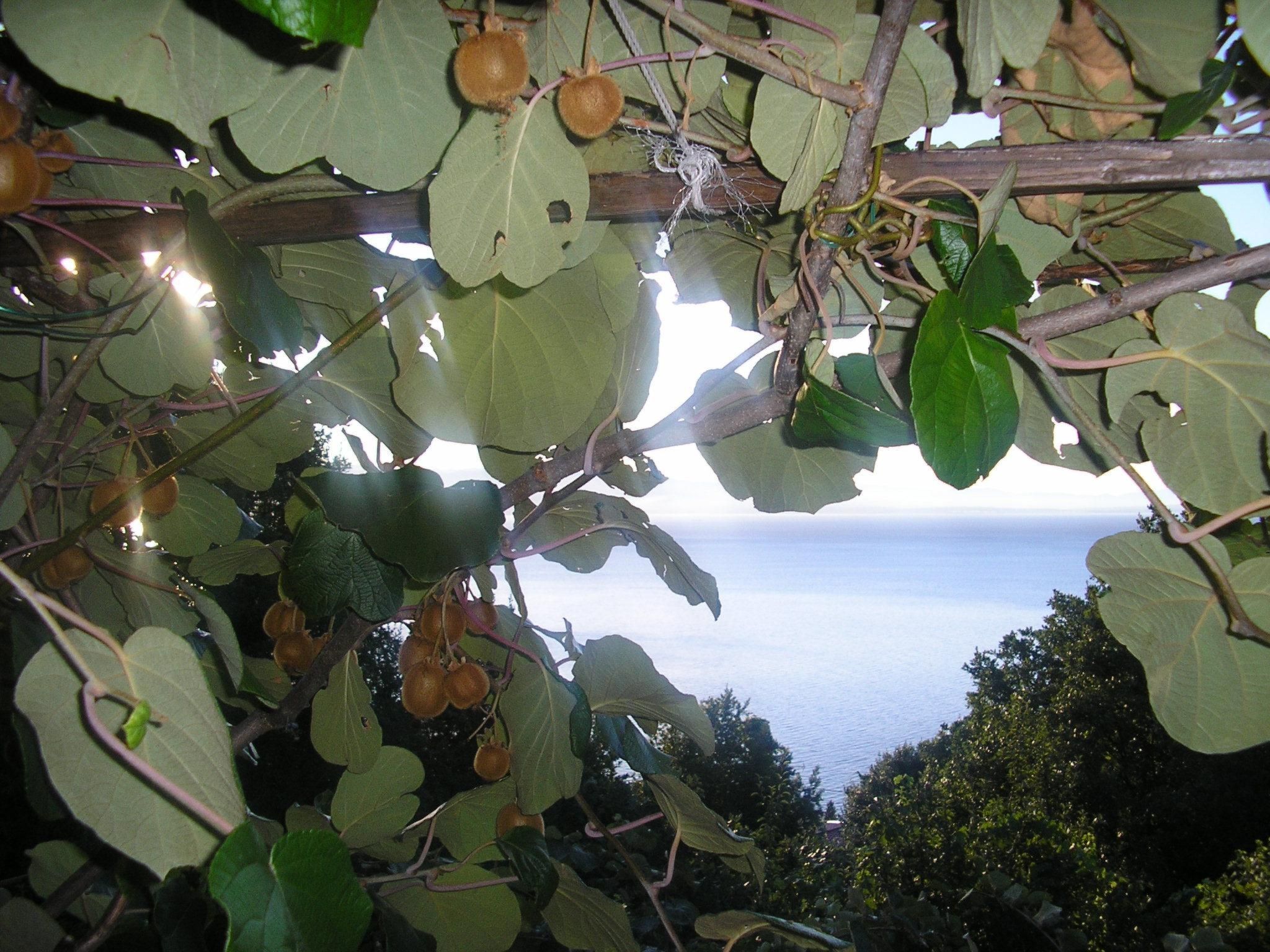 Photo of mit Balkon und Terrasse