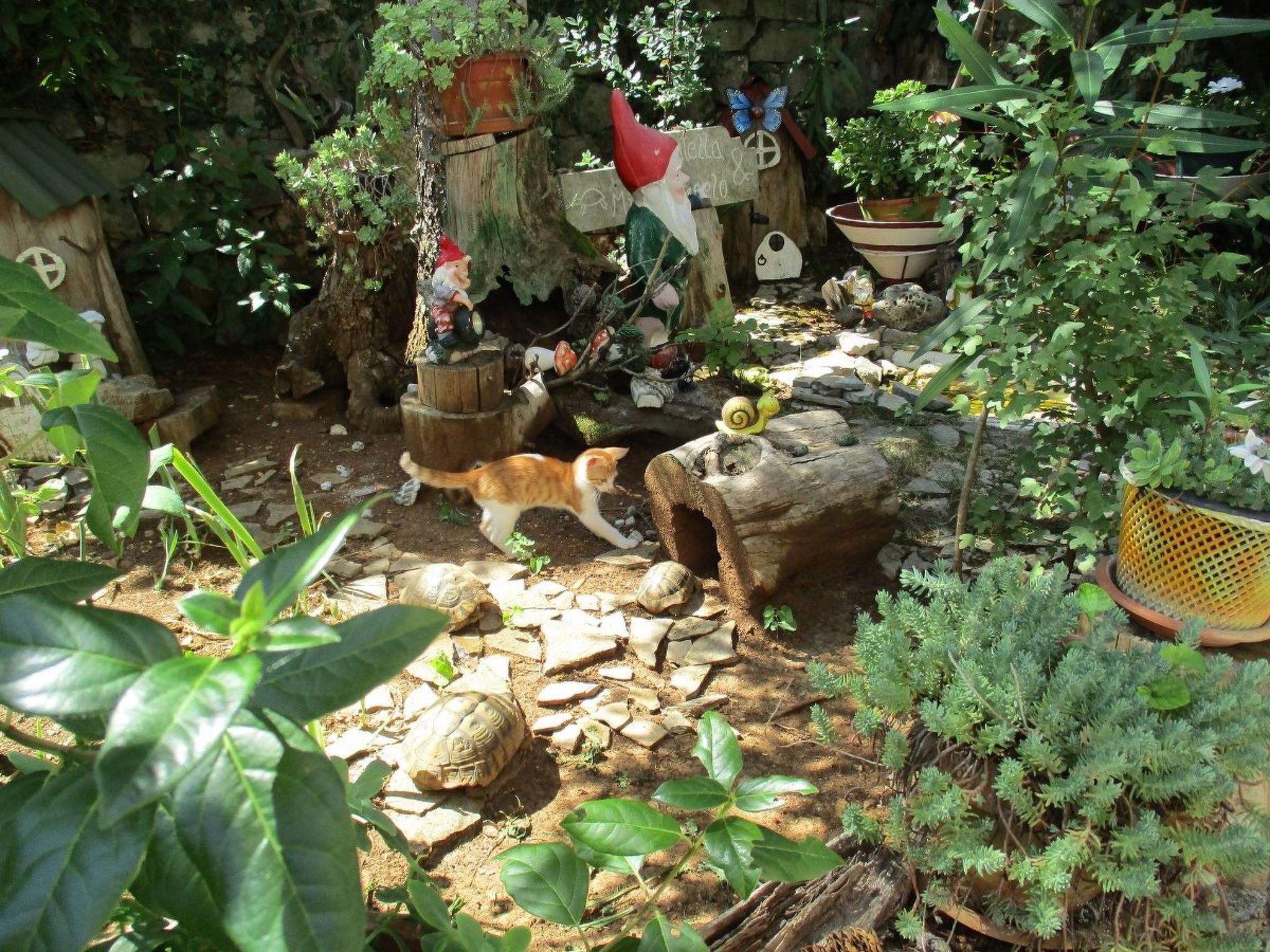 Photo of mit Balkon und Terrasse