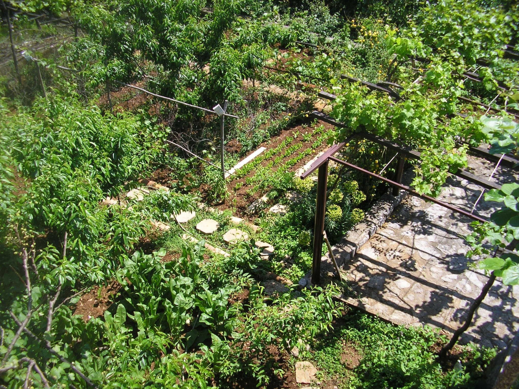 Mit Balkon und Terrasse-Inside