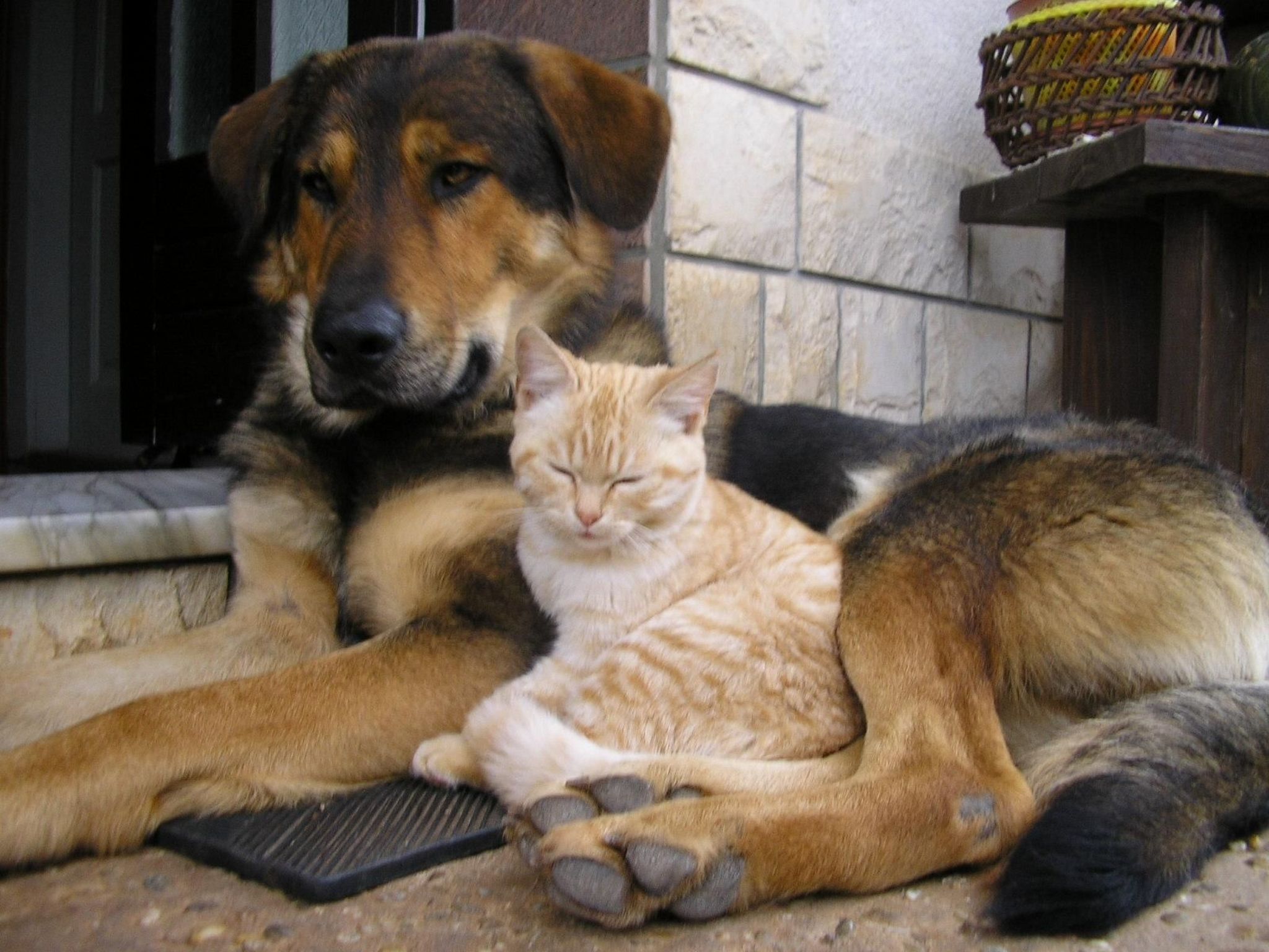 Mit Balkon und Terrasse-Inside