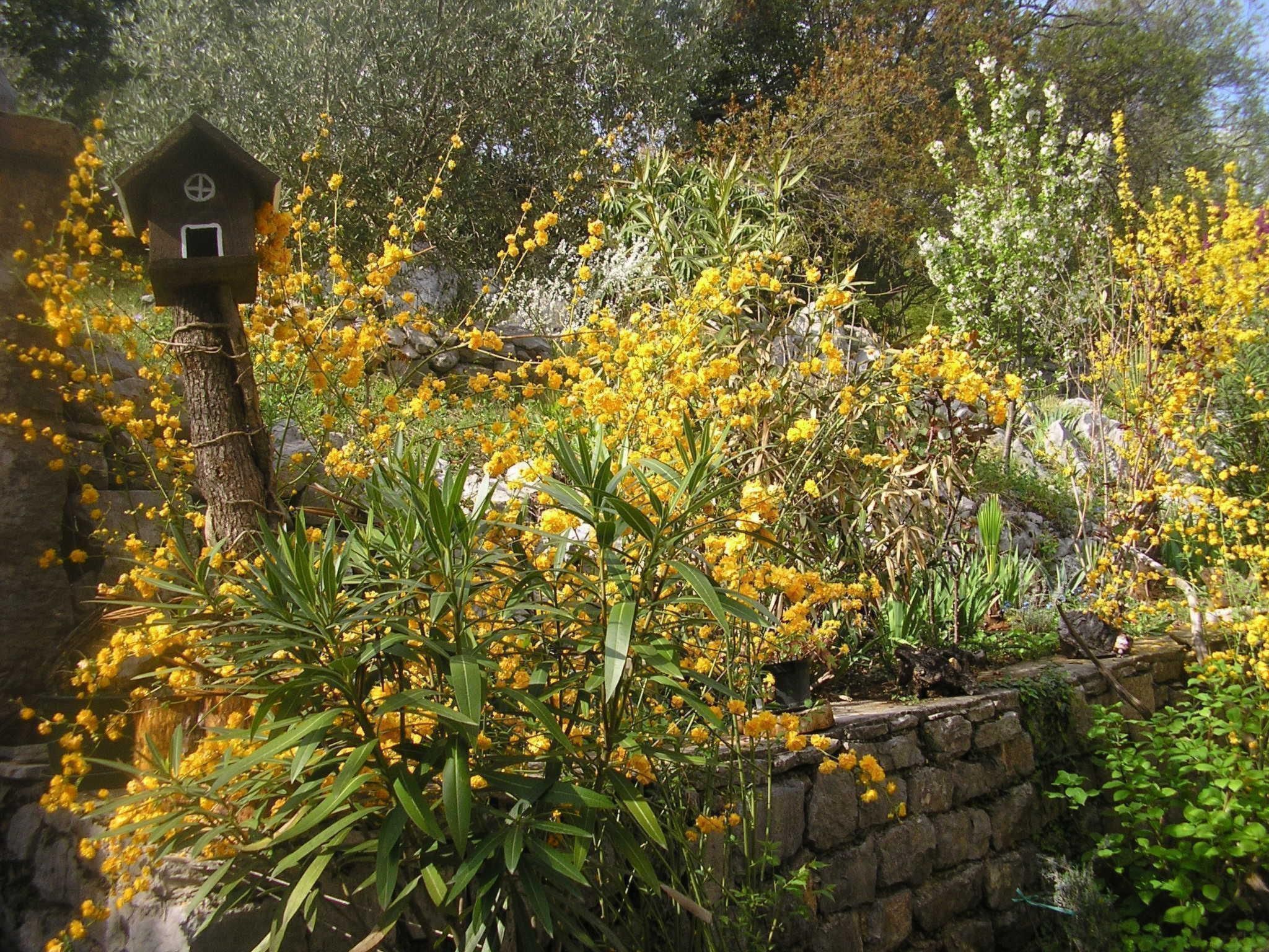 Mit Balkon und Terrasse-Inside