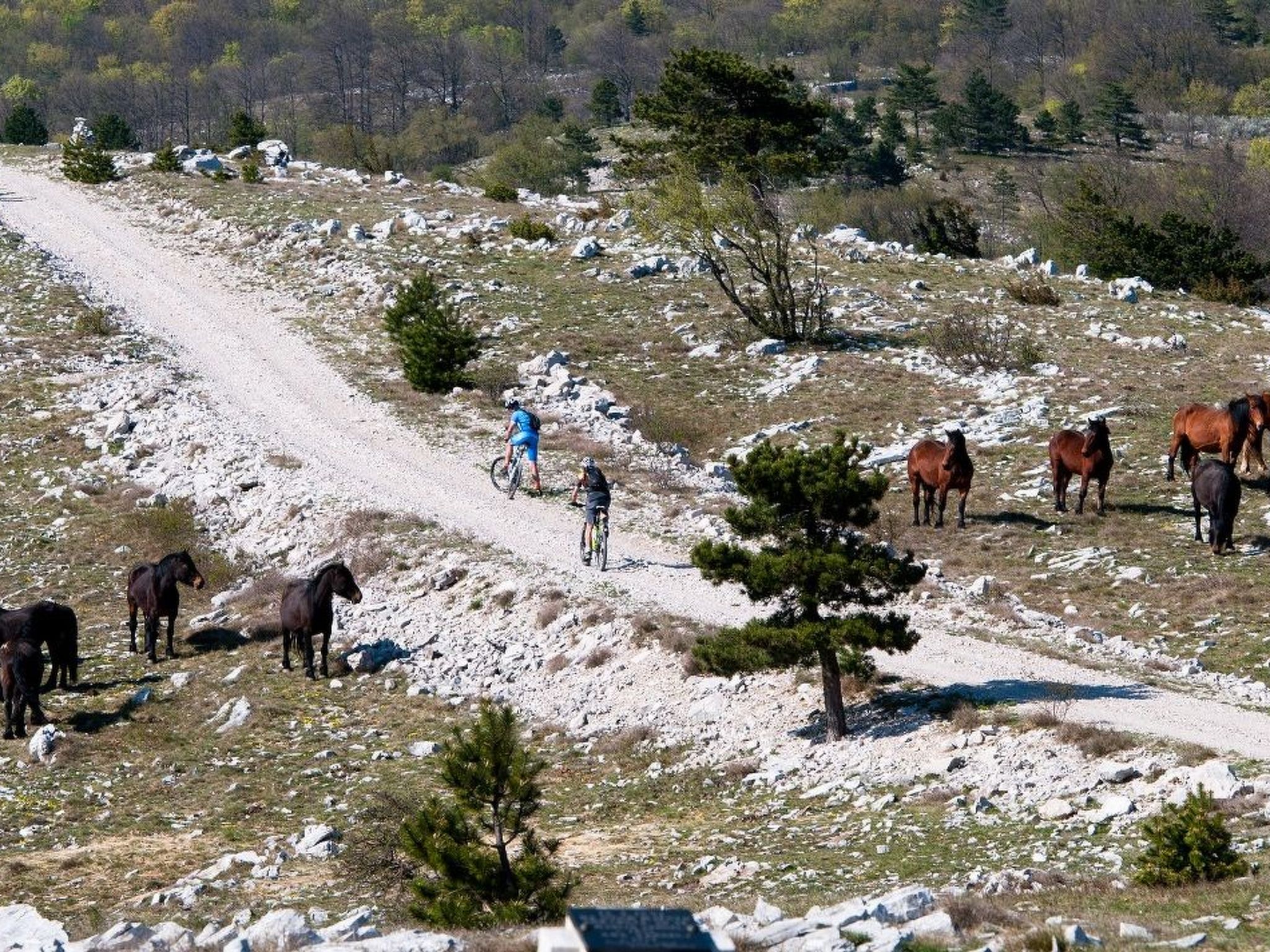 Mit Balkon und Terrasse-Inside