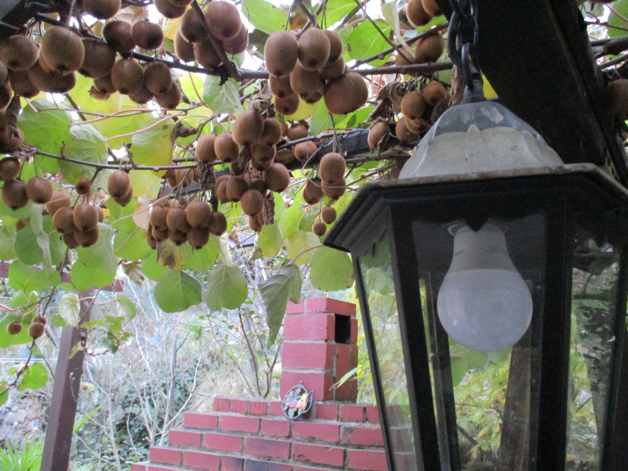 Mit Balkon und Terrasse-Inside