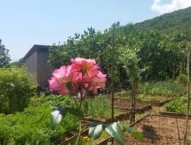 für 5 Personen ca. 90 m&sup2; in Opatija-Pobri, Kvarner Bucht (Gespanschaft Pri