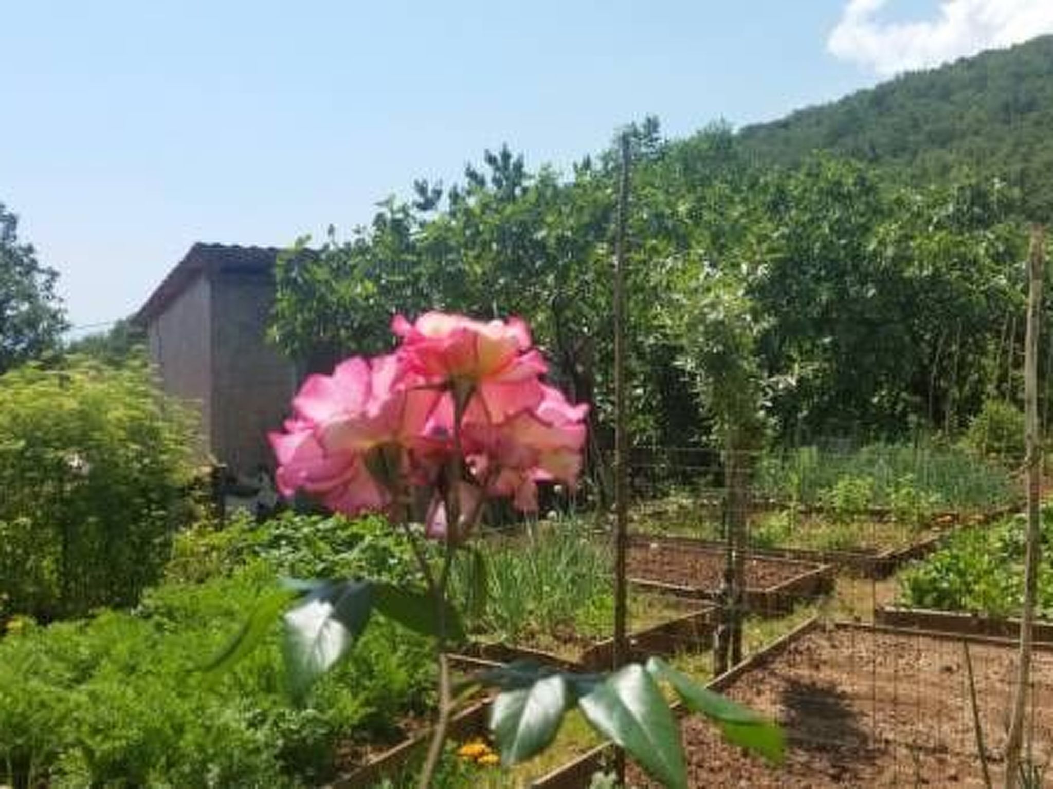 Für 5 Personen ca. 90 m&sup2; in Opatija-Pobri, Kvarner Bucht (Gespanschaft Pri