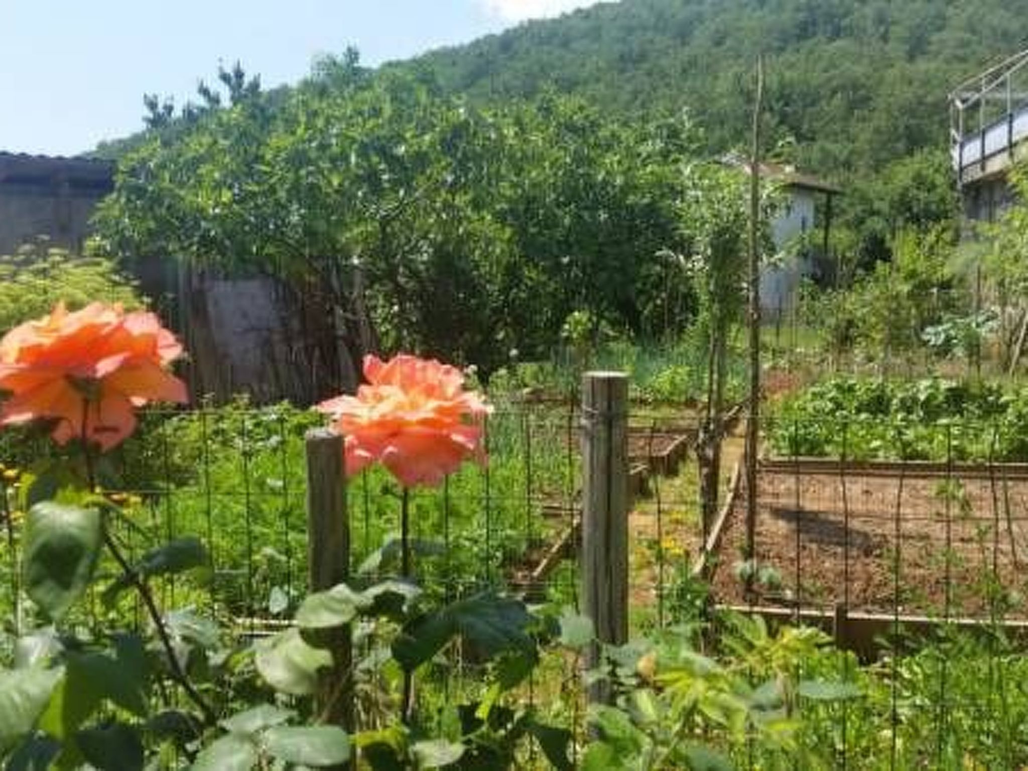 Für 5 Personen ca. 90 m&sup2; in Opatija-Pobri, Kvarner Bucht (Gespanschaft Pri-Image-tags.info