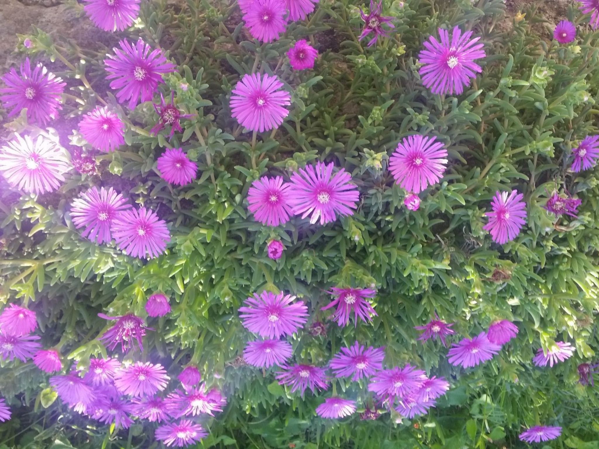 Gemütliche Wohnung Andrea in Opatija