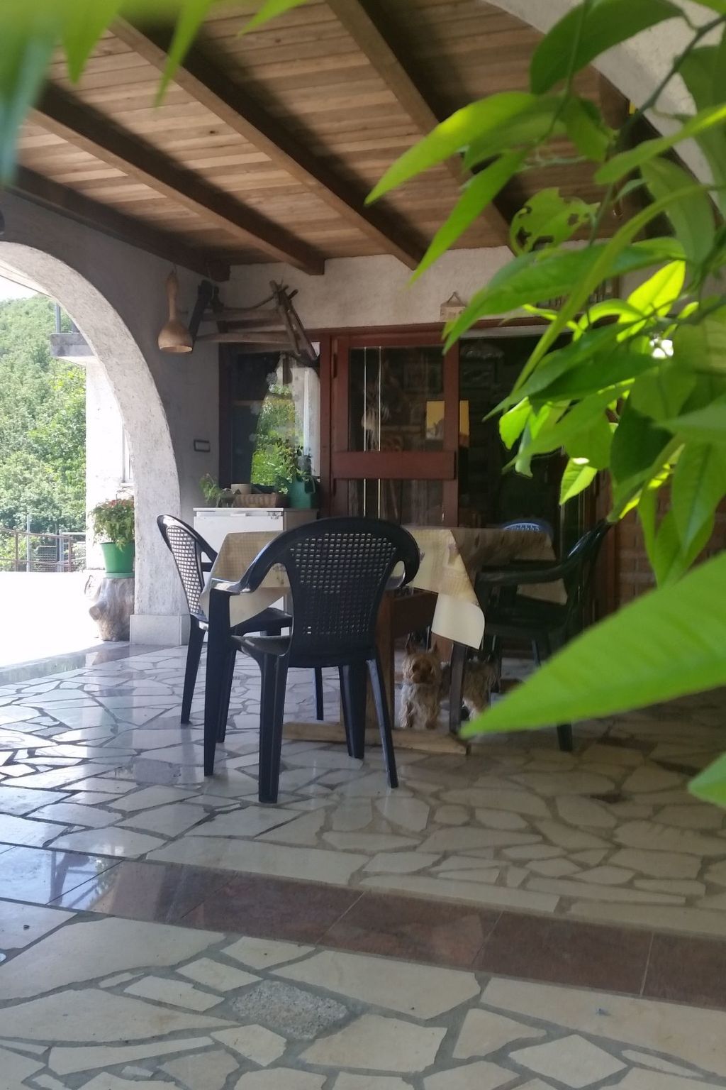 Gemütliche Wohnung Andrea in Opatija-Image-tags.info