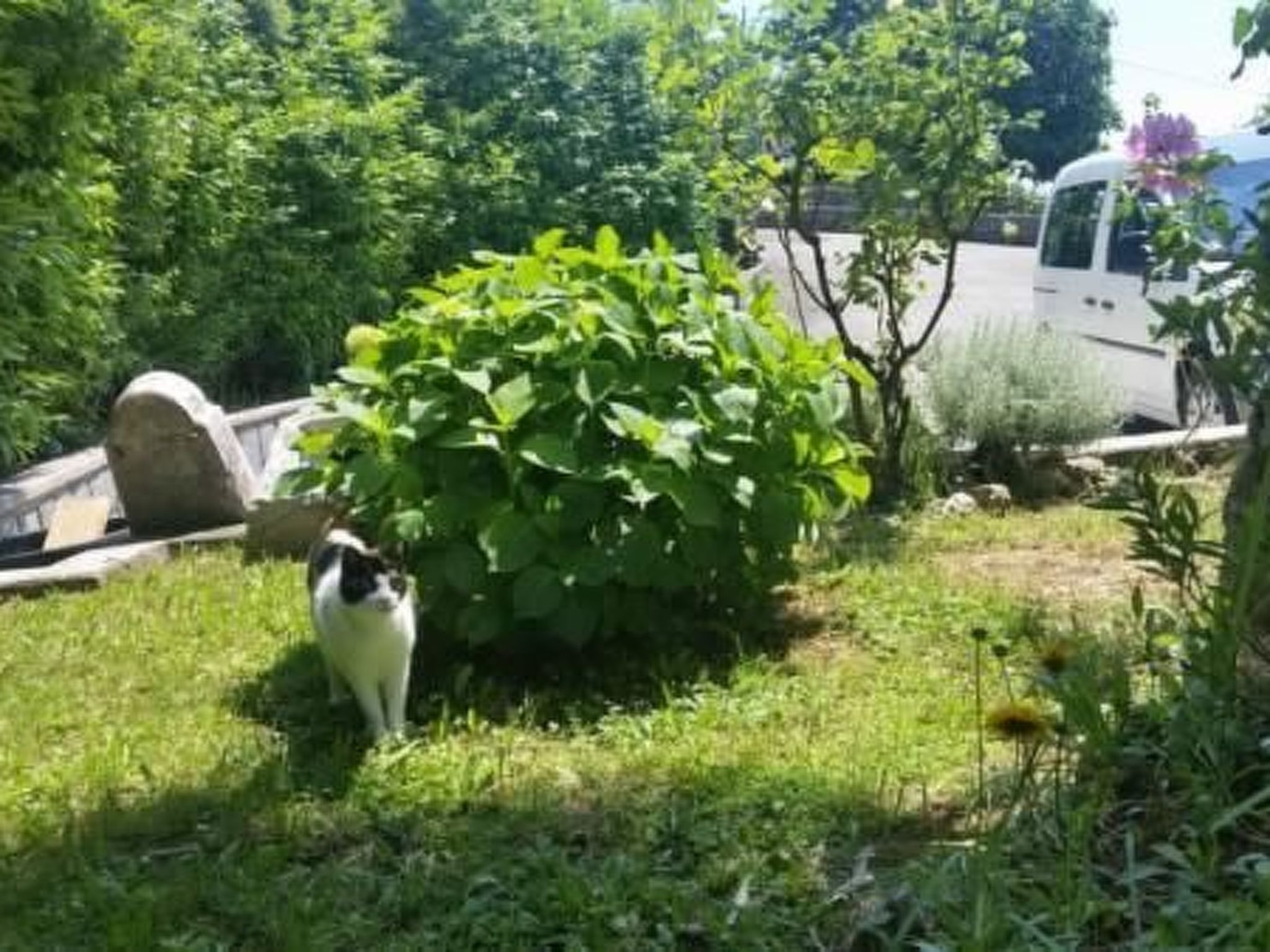 Gemütliche Wohnung Andrea in Opatija-Image-tags.info