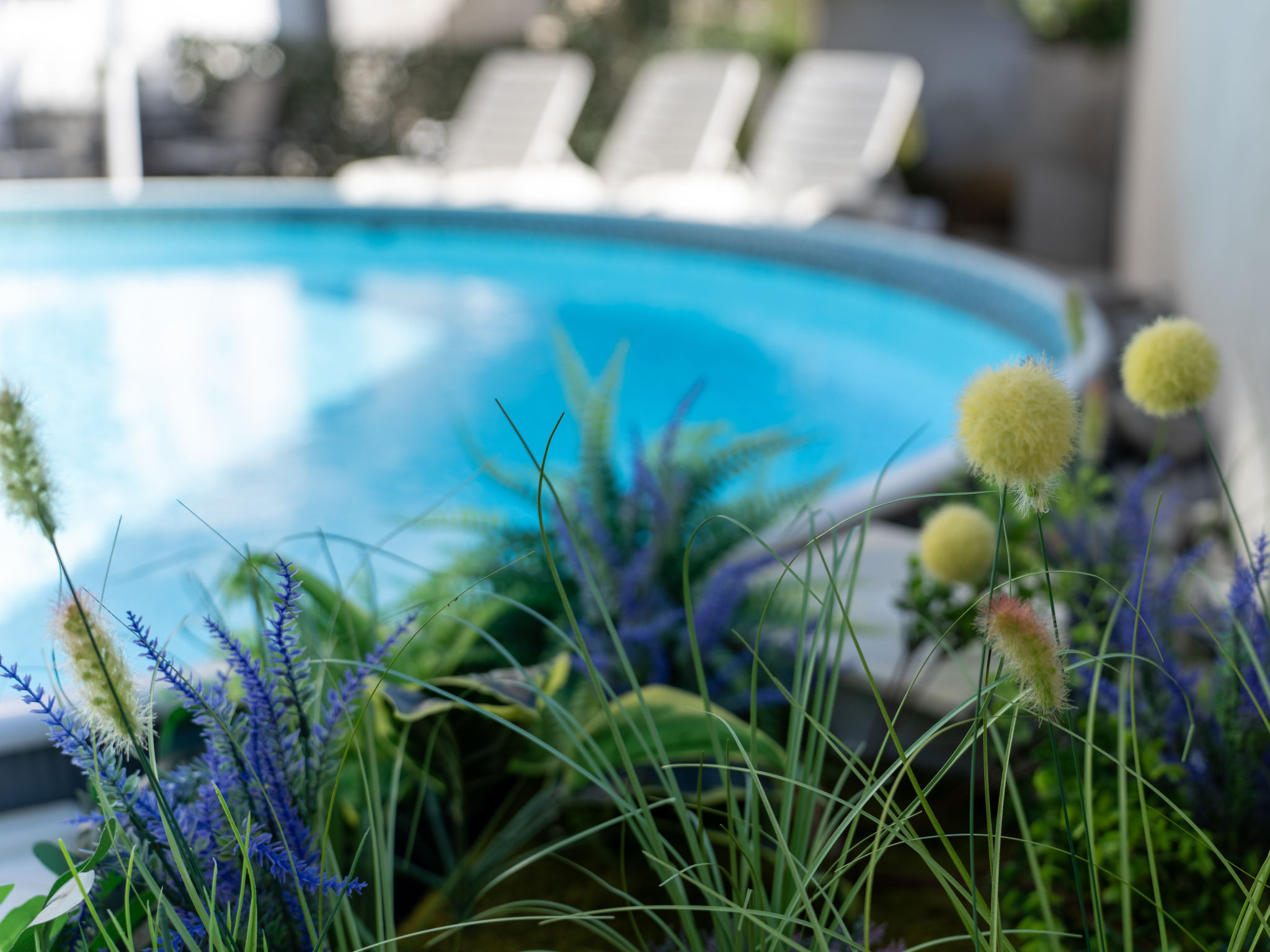 As — Pool Outdoor (3 of 22)