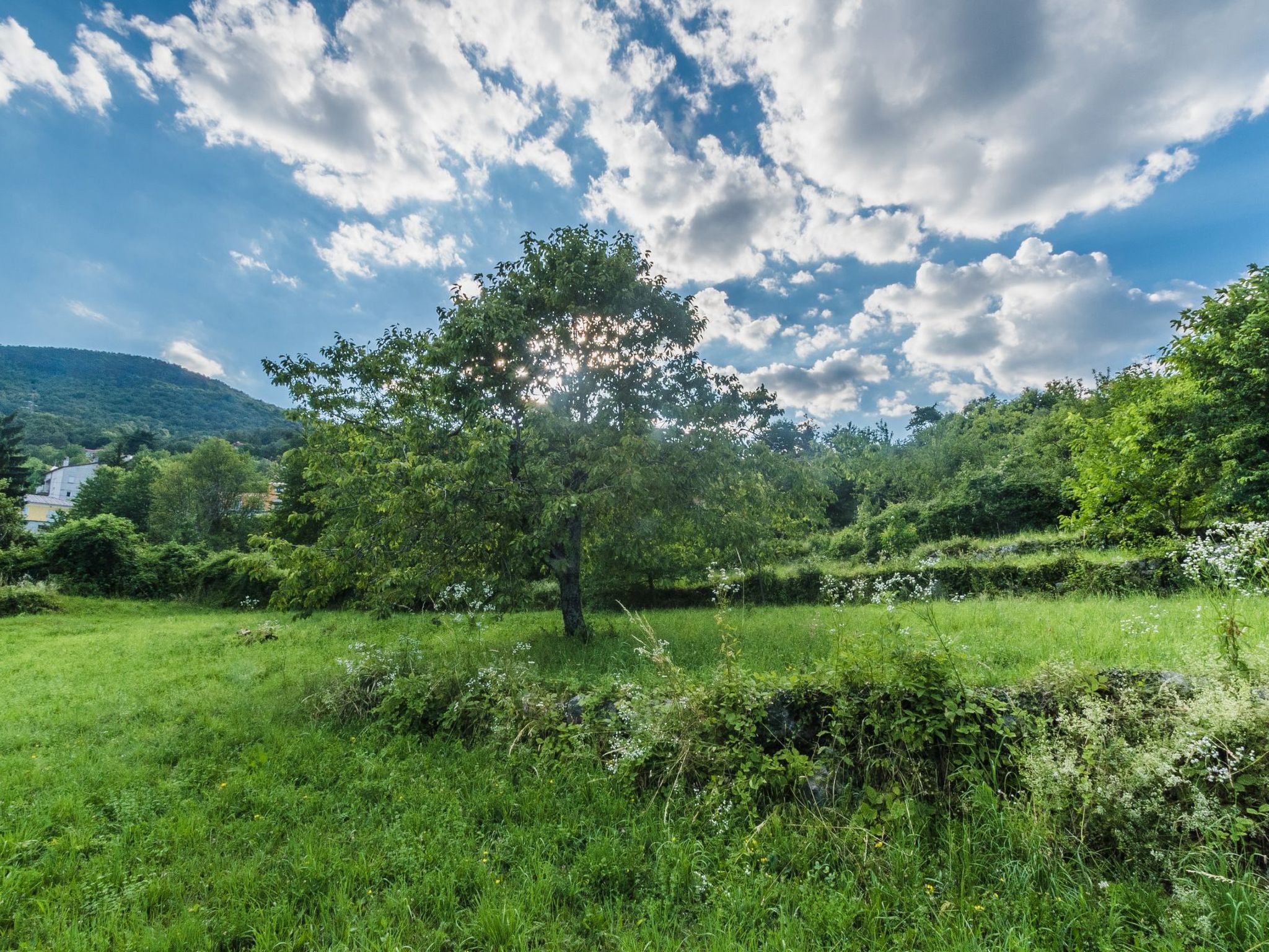 Für 2 Personen ca. 50 m&sup2; in Rukavac, Kvarner Bucht (Gespanschaft Primorje--Image-tags.info