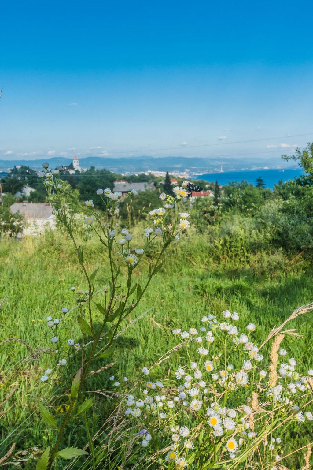 Für 2 Personen ca. 50 m&sup2; in Rukavac, Kvarner Bucht (Gespanschaft Primorje--Outside